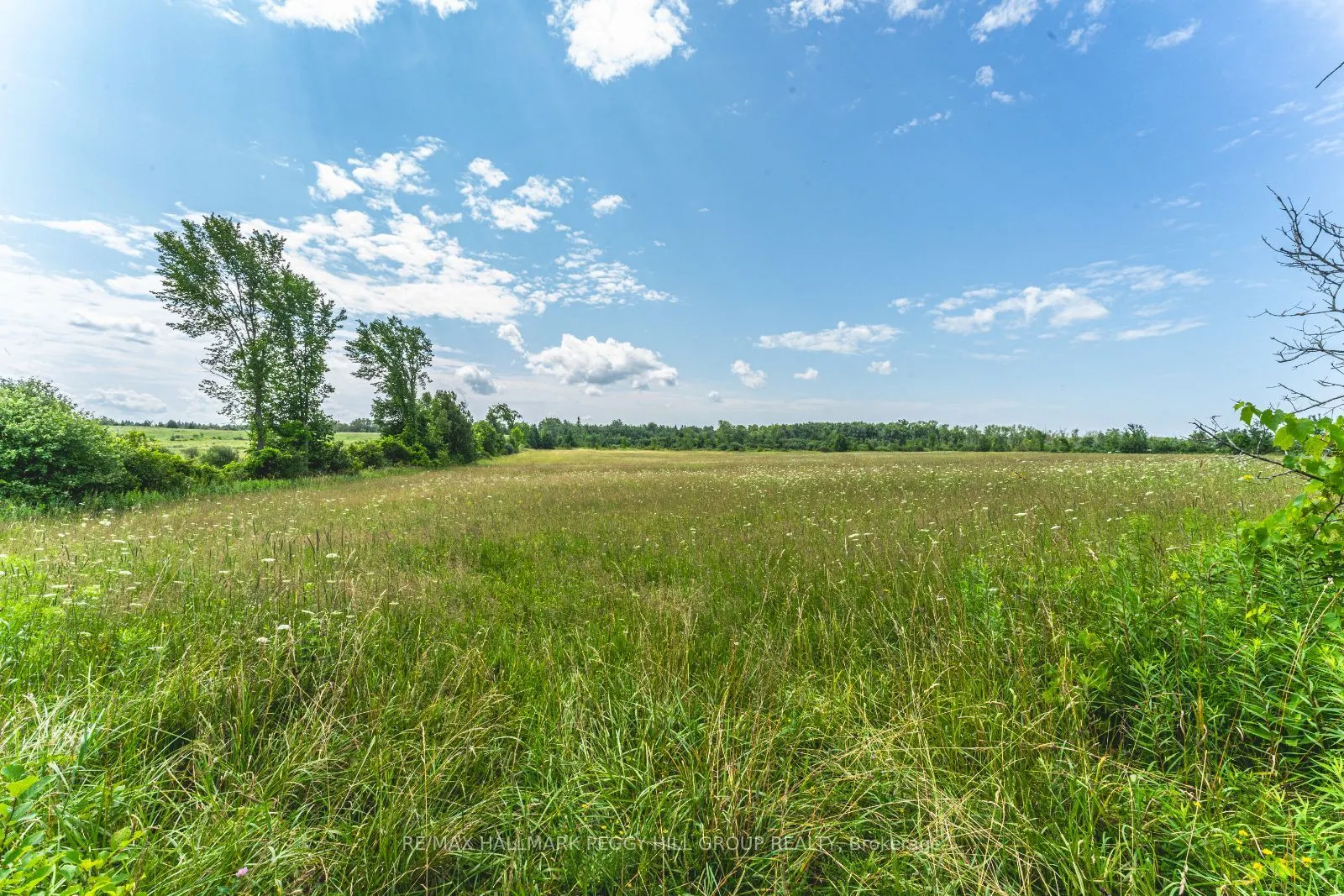 Lot 5 Concession 5