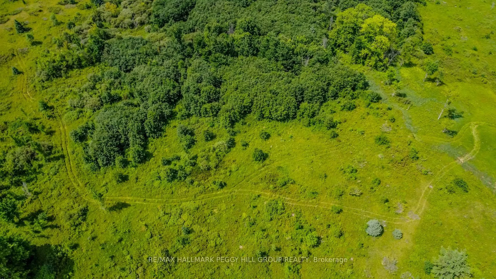 Lot 5 Concession 5