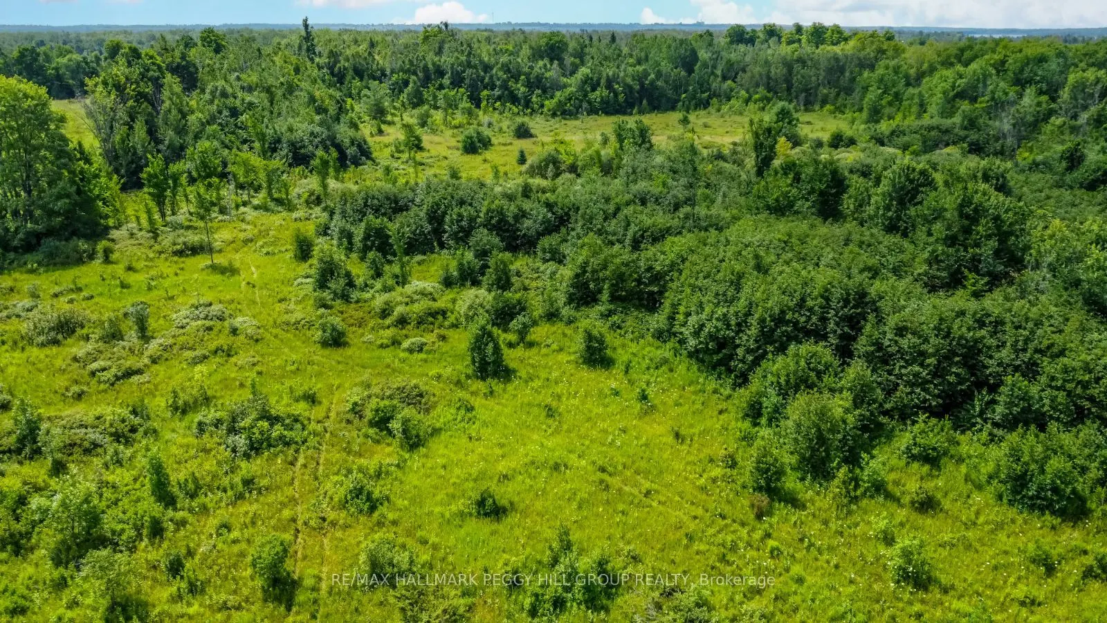 Lot 5 Concession 5