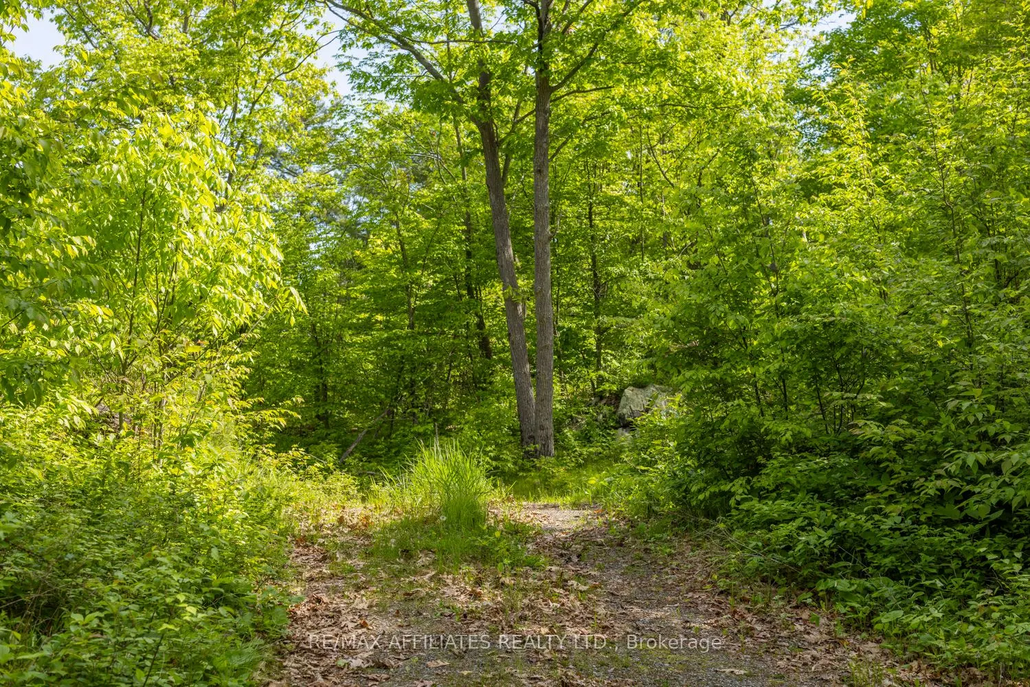 0 Fifth Lake Road