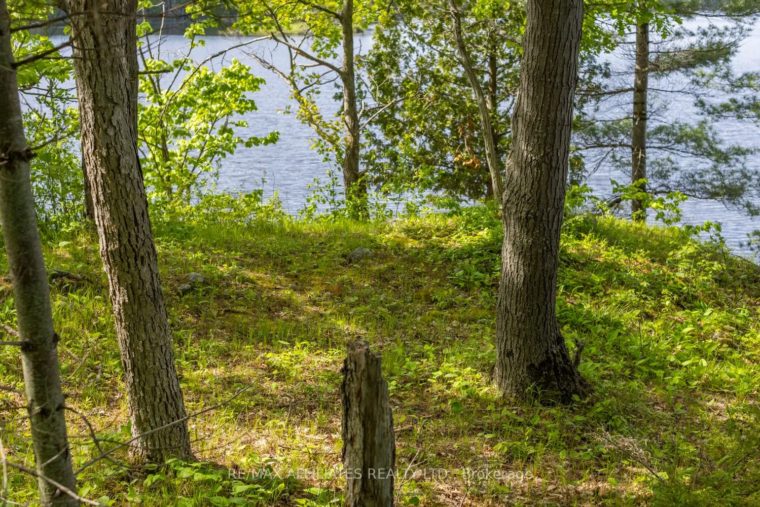 0 Fifth Lake Road