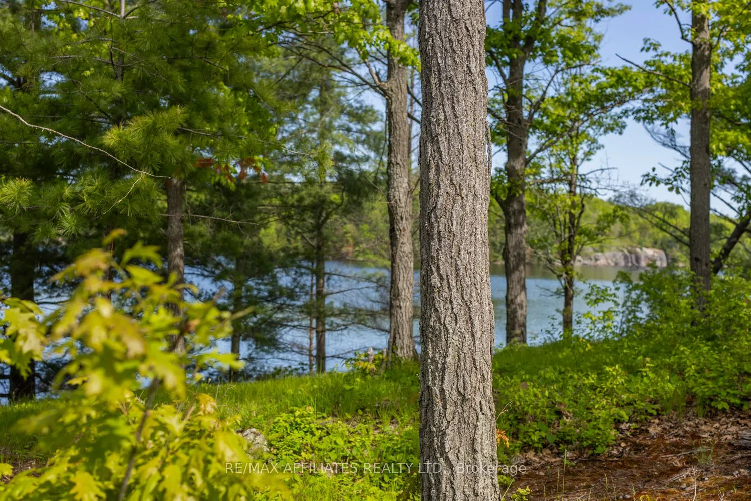 0 Fifth Lake Road