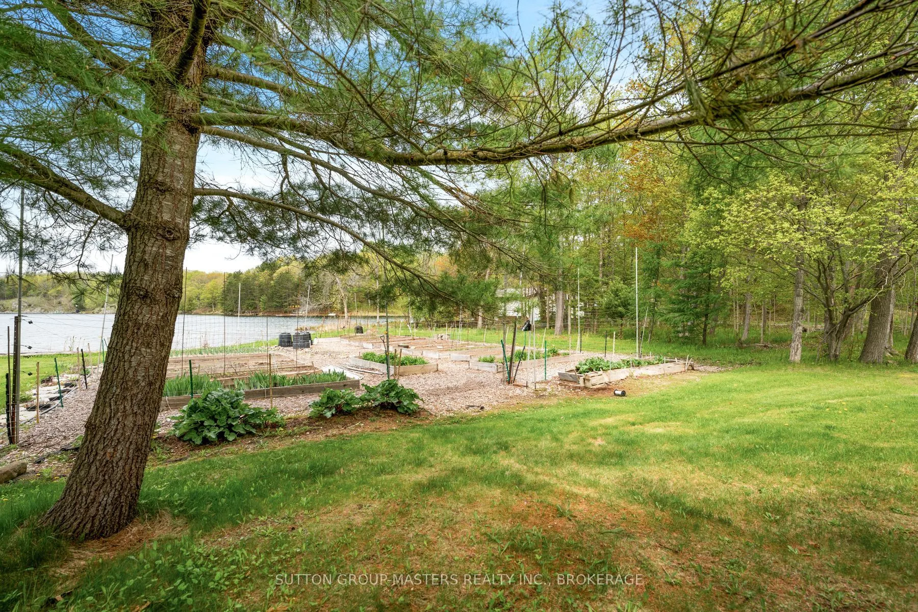 1023 Big Ben Lane