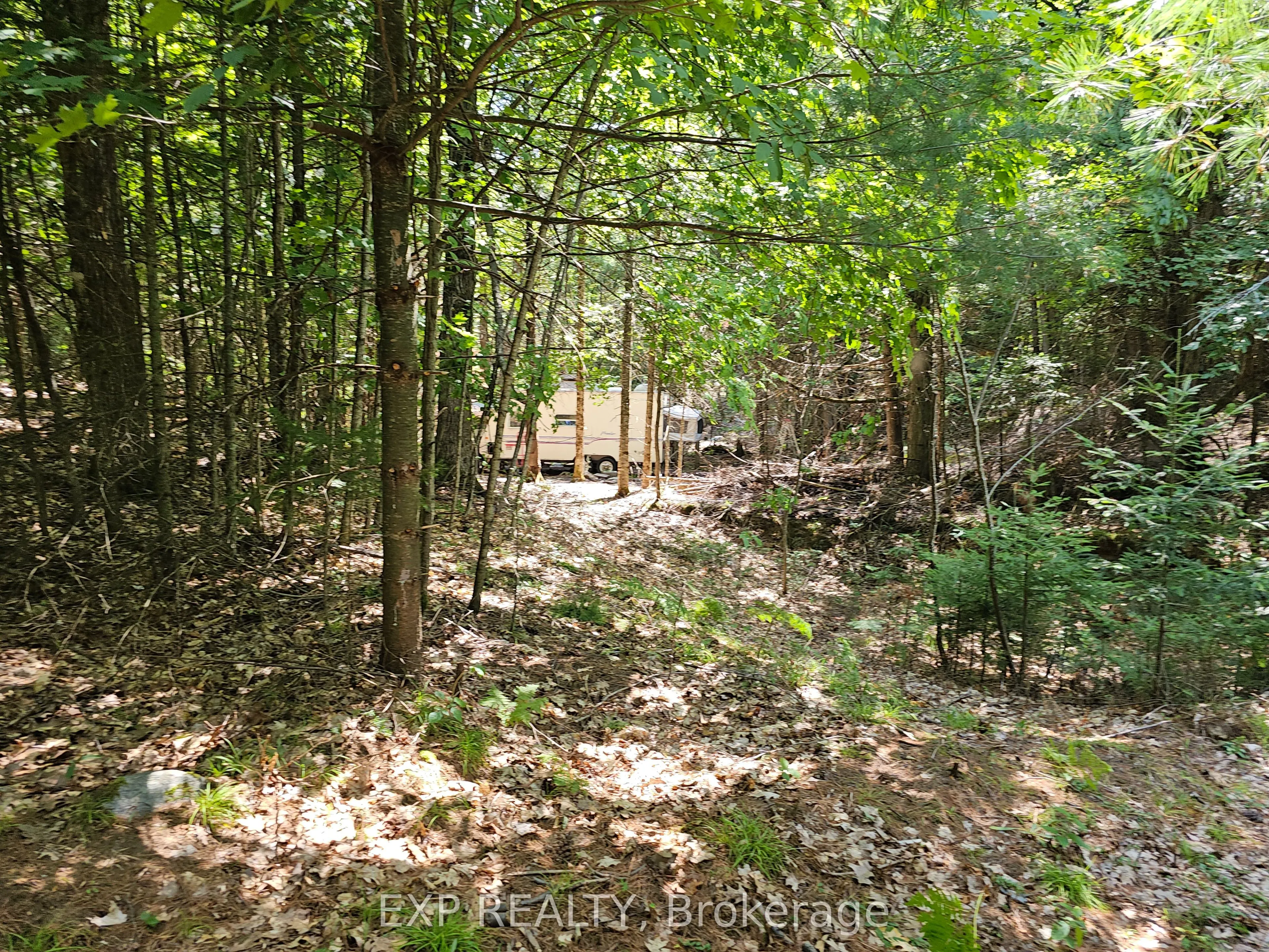 889 A Slate Falls Road