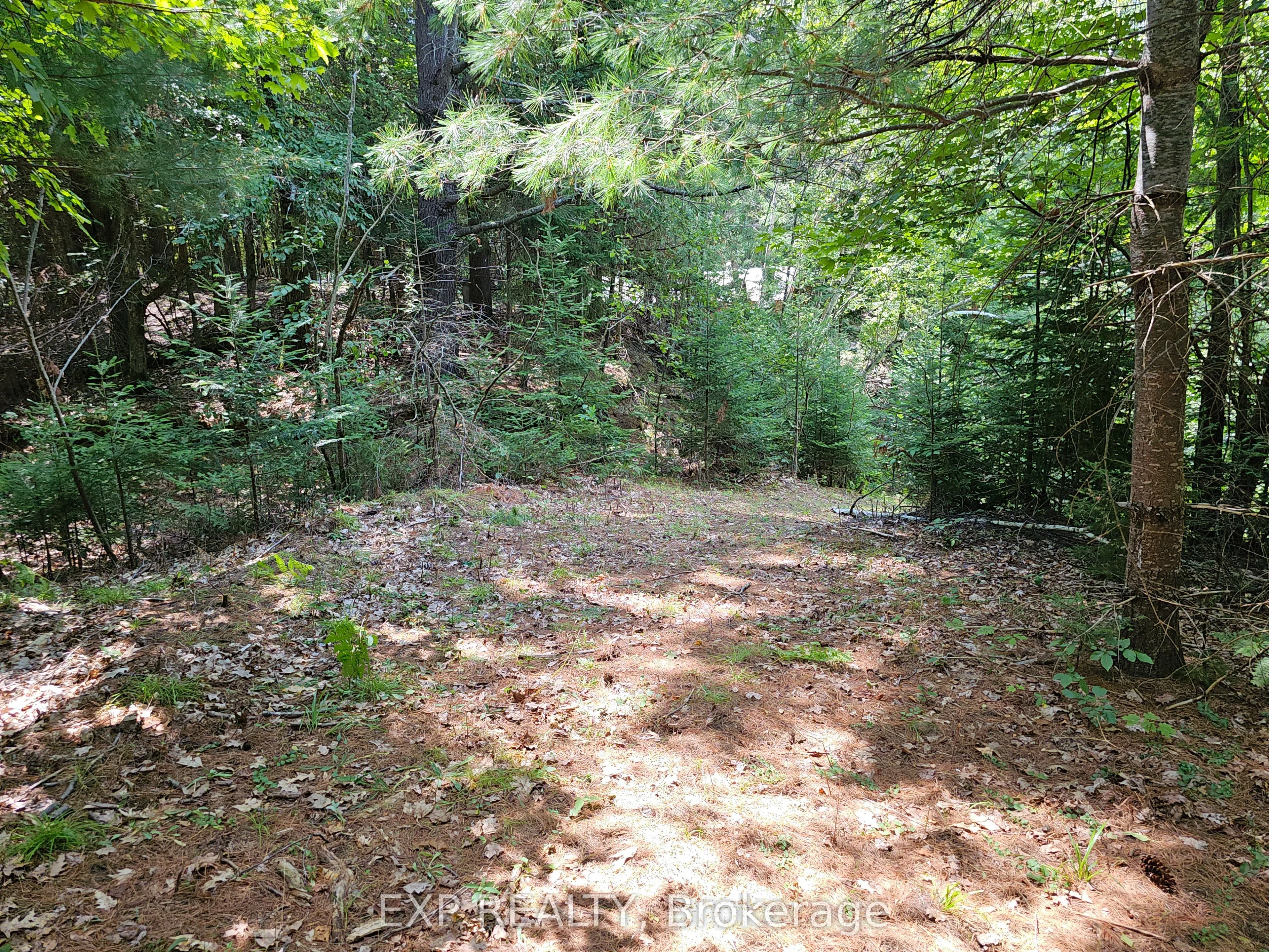 889 A Slate Falls Road