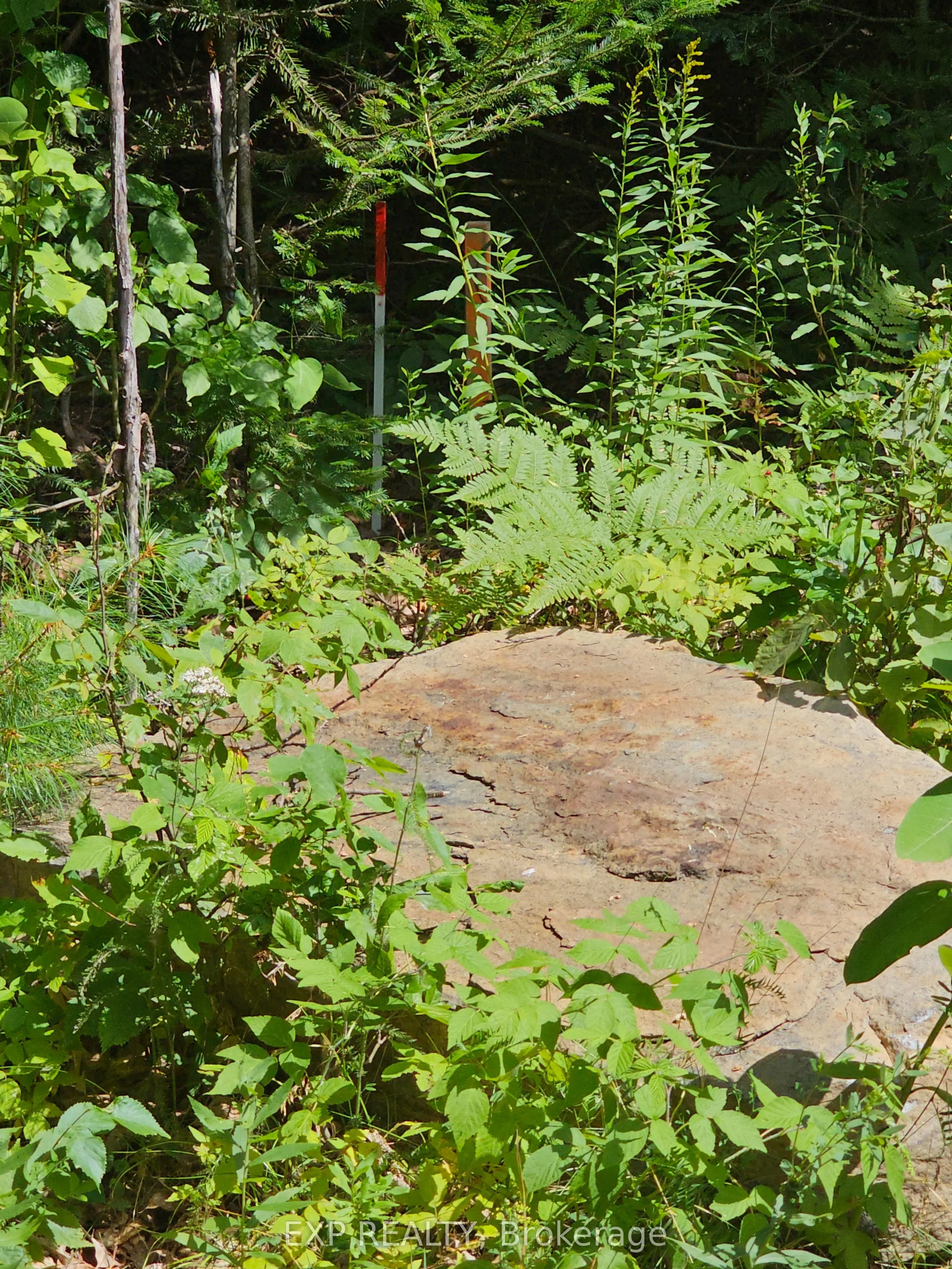 889 A Slate Falls Road