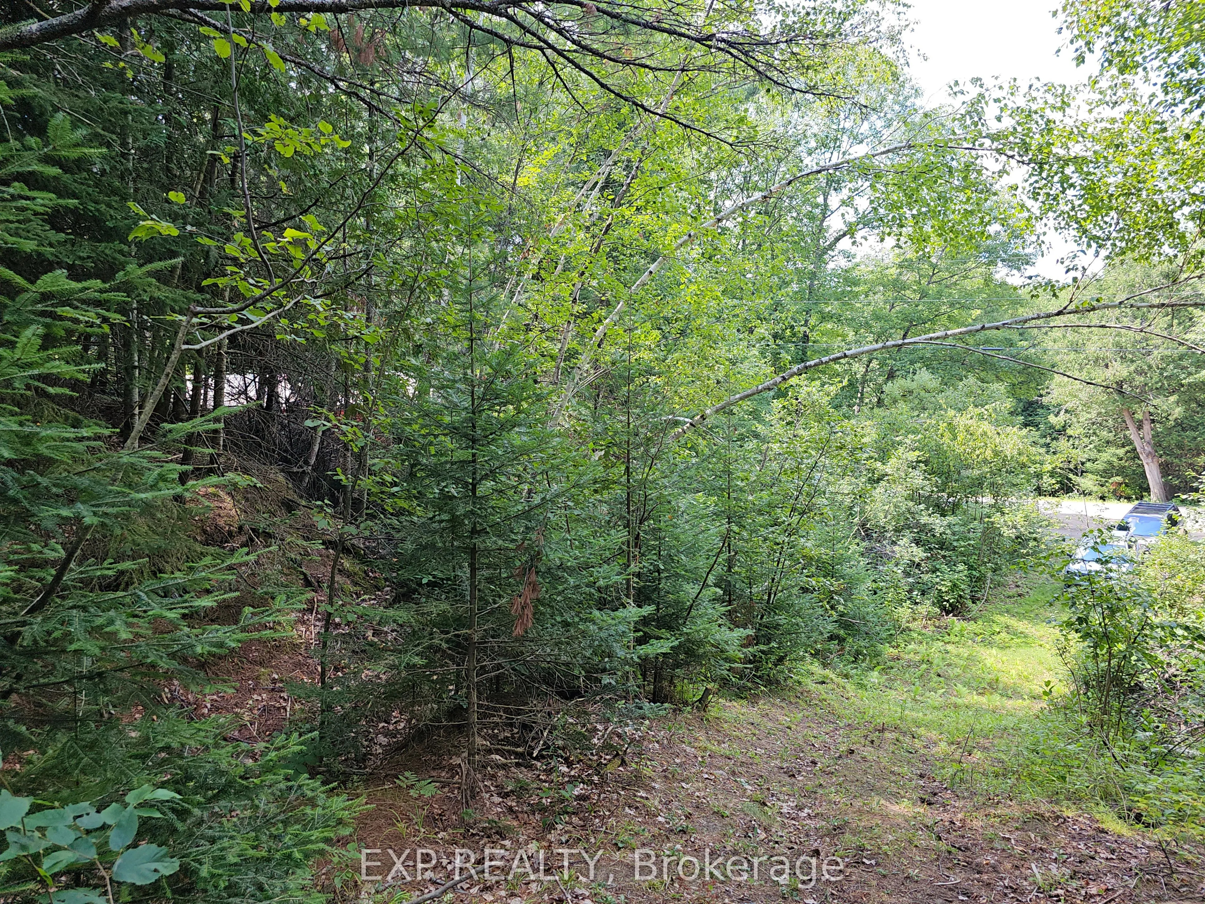 889 A Slate Falls Road