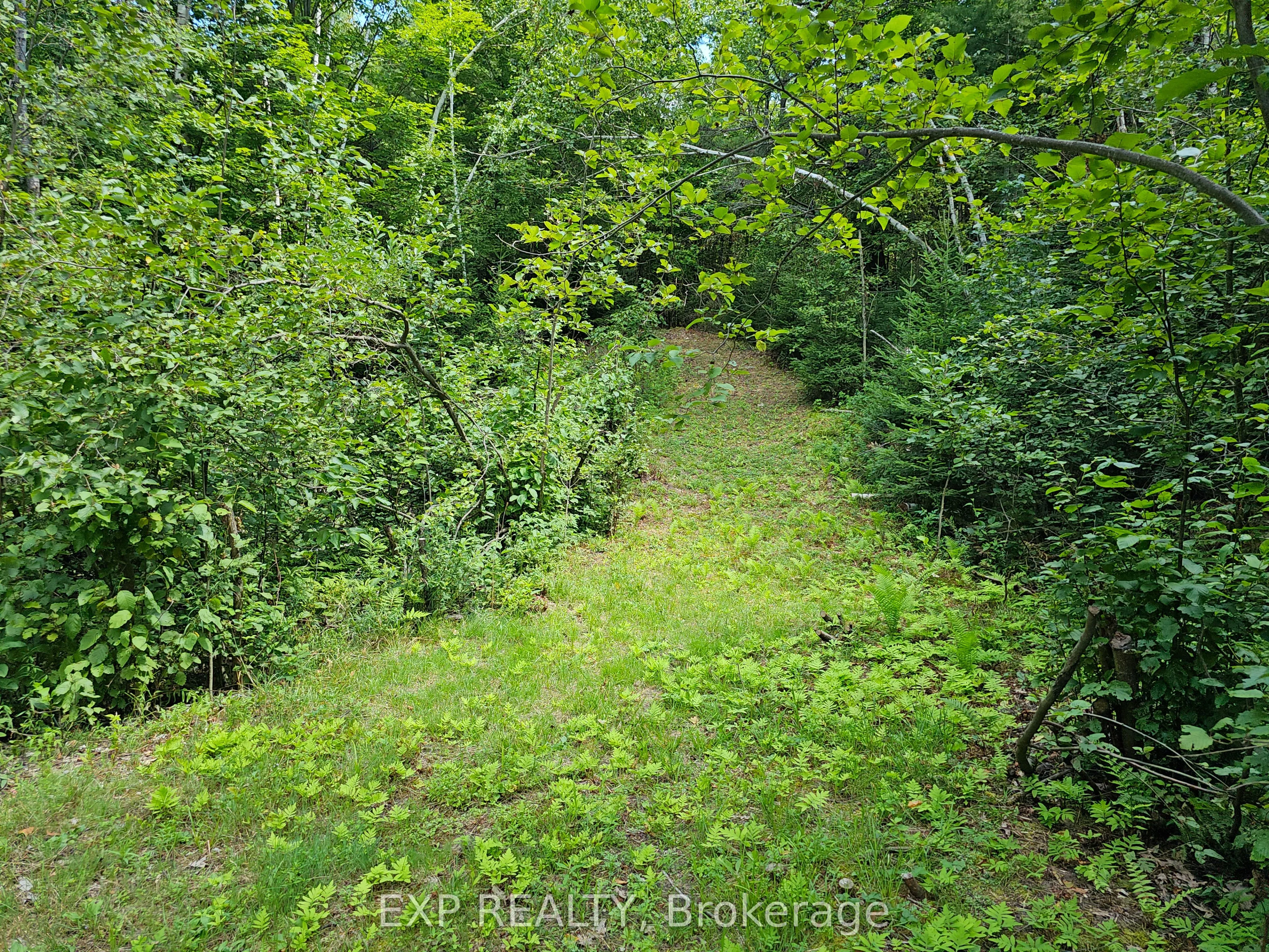 889 A Slate Falls Road