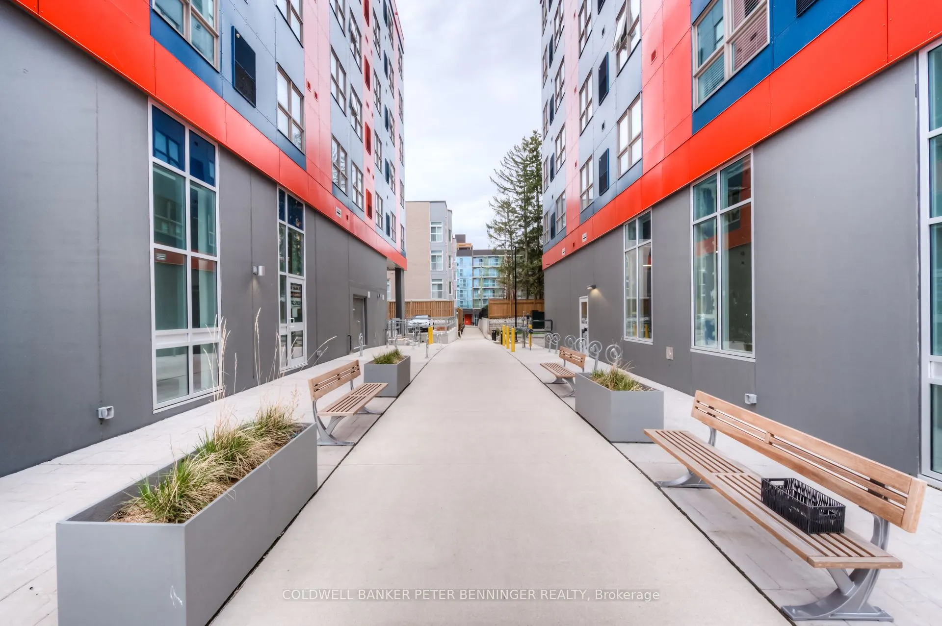 258A SUNVIEW Street, #1113