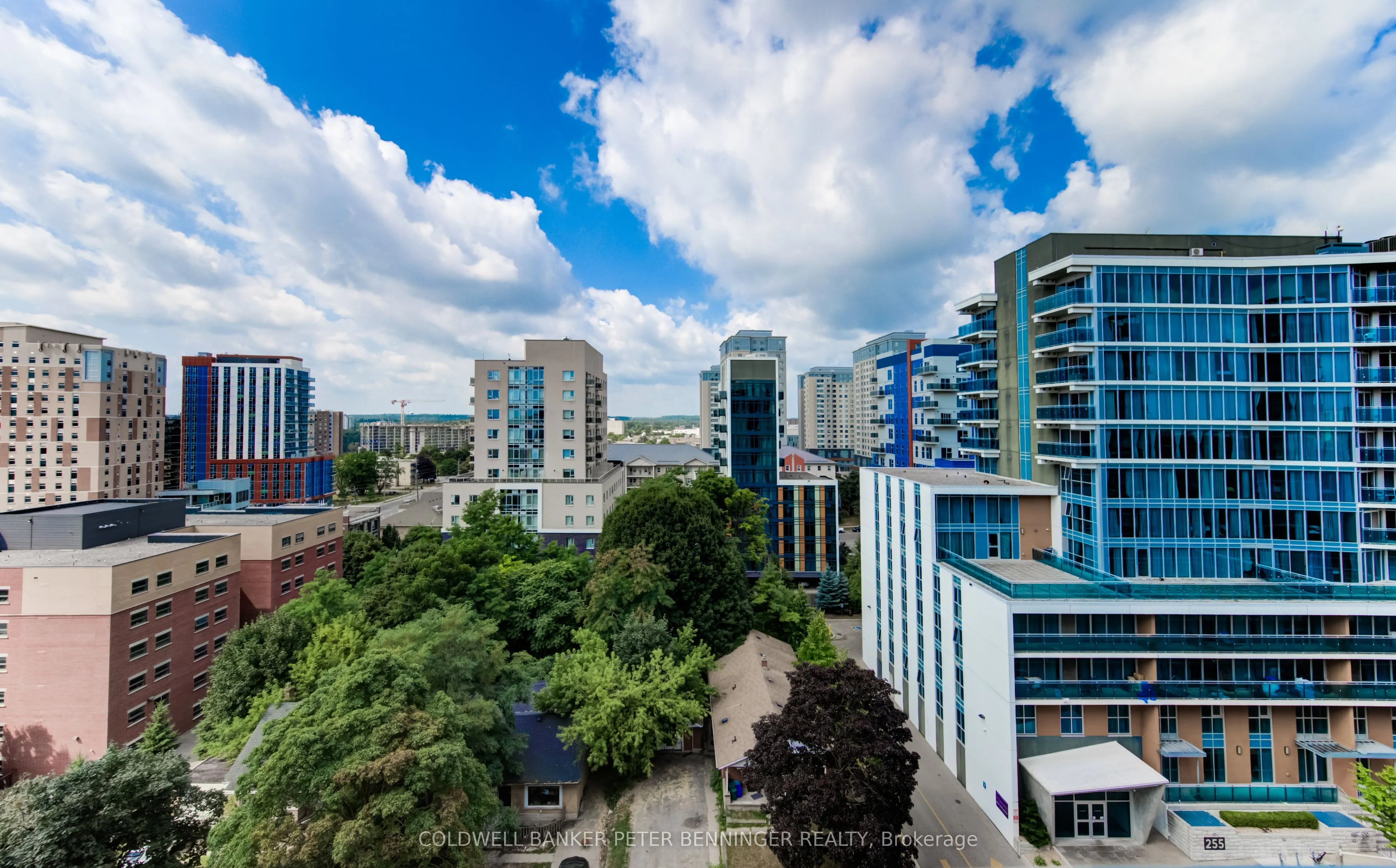 258A SUNVIEW Street, #1113