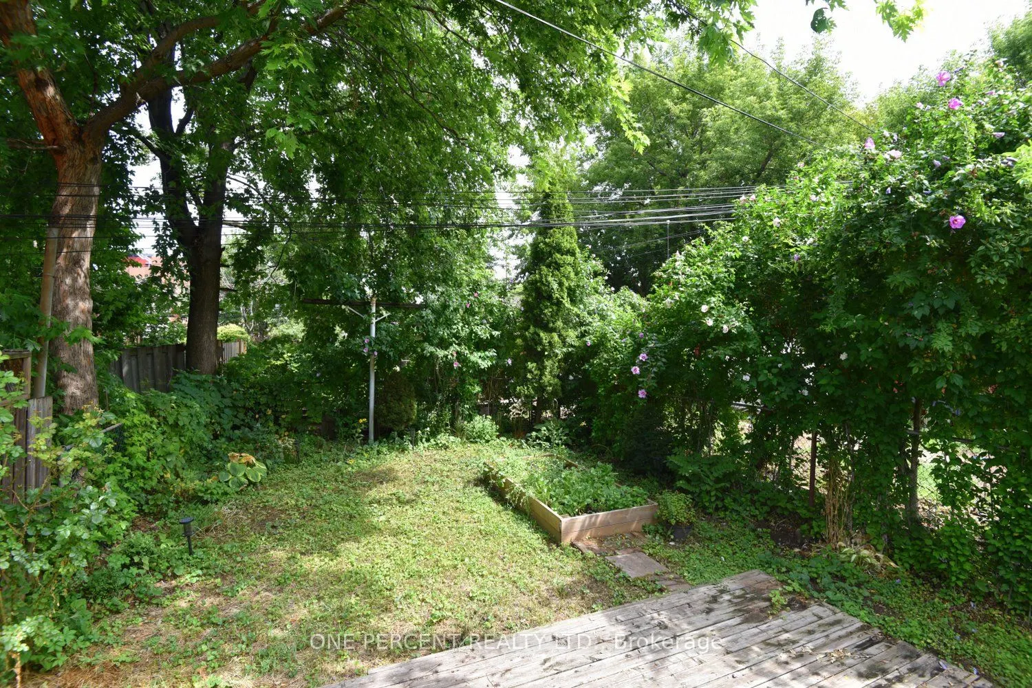 273 Robert Street