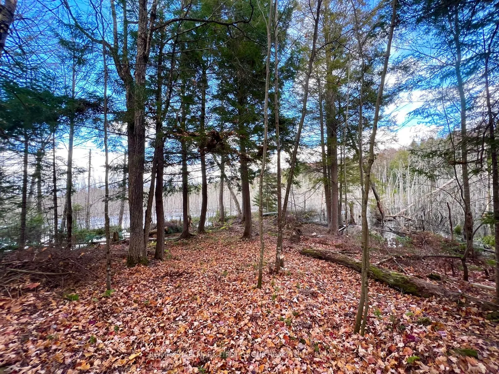 678 Centreview Road