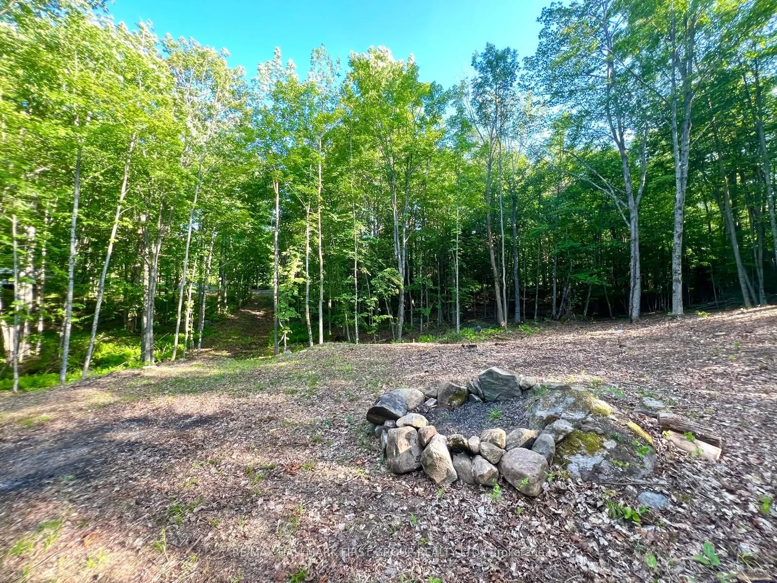 678 Centreview Road