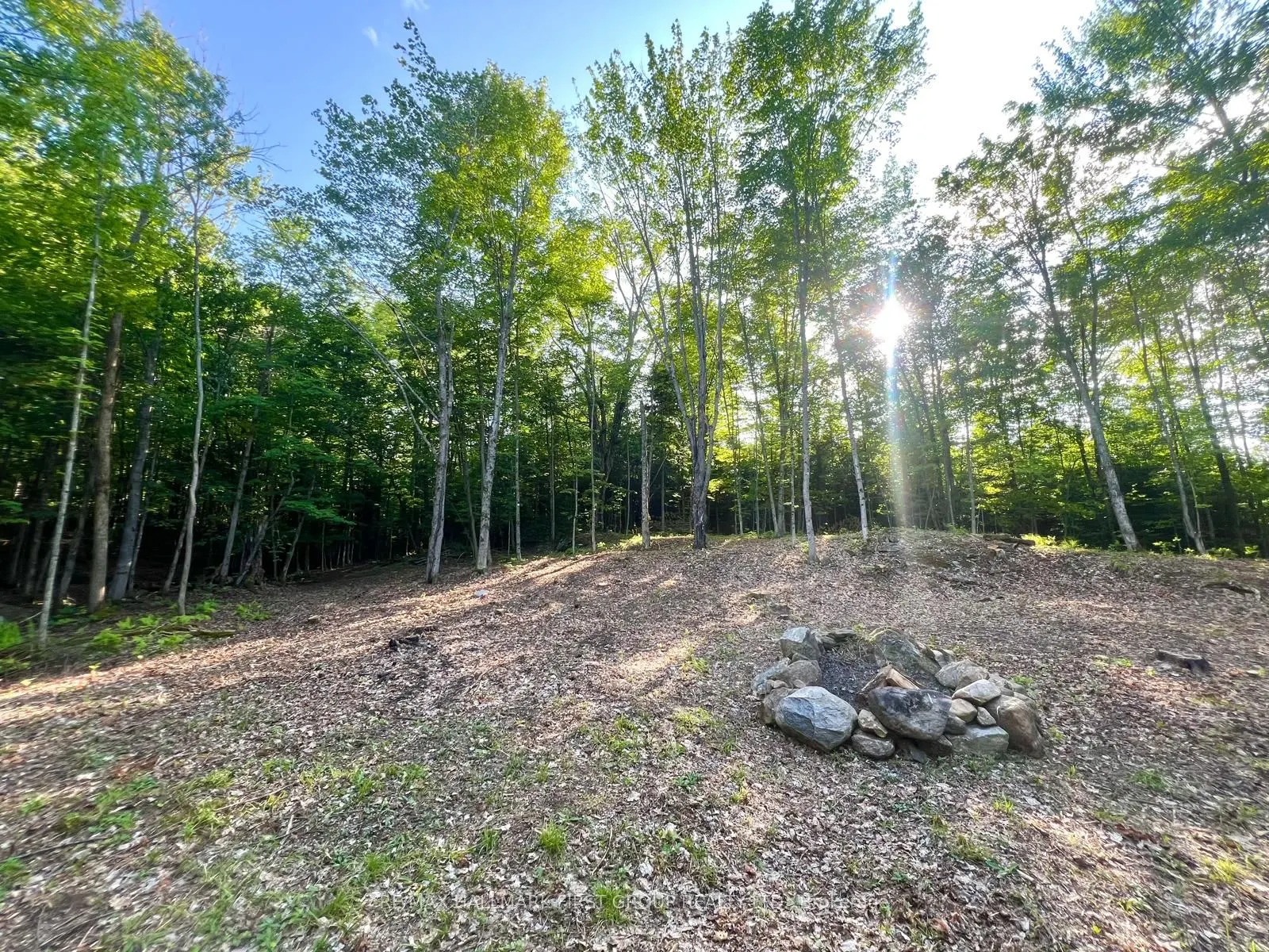 678 Centreview Road