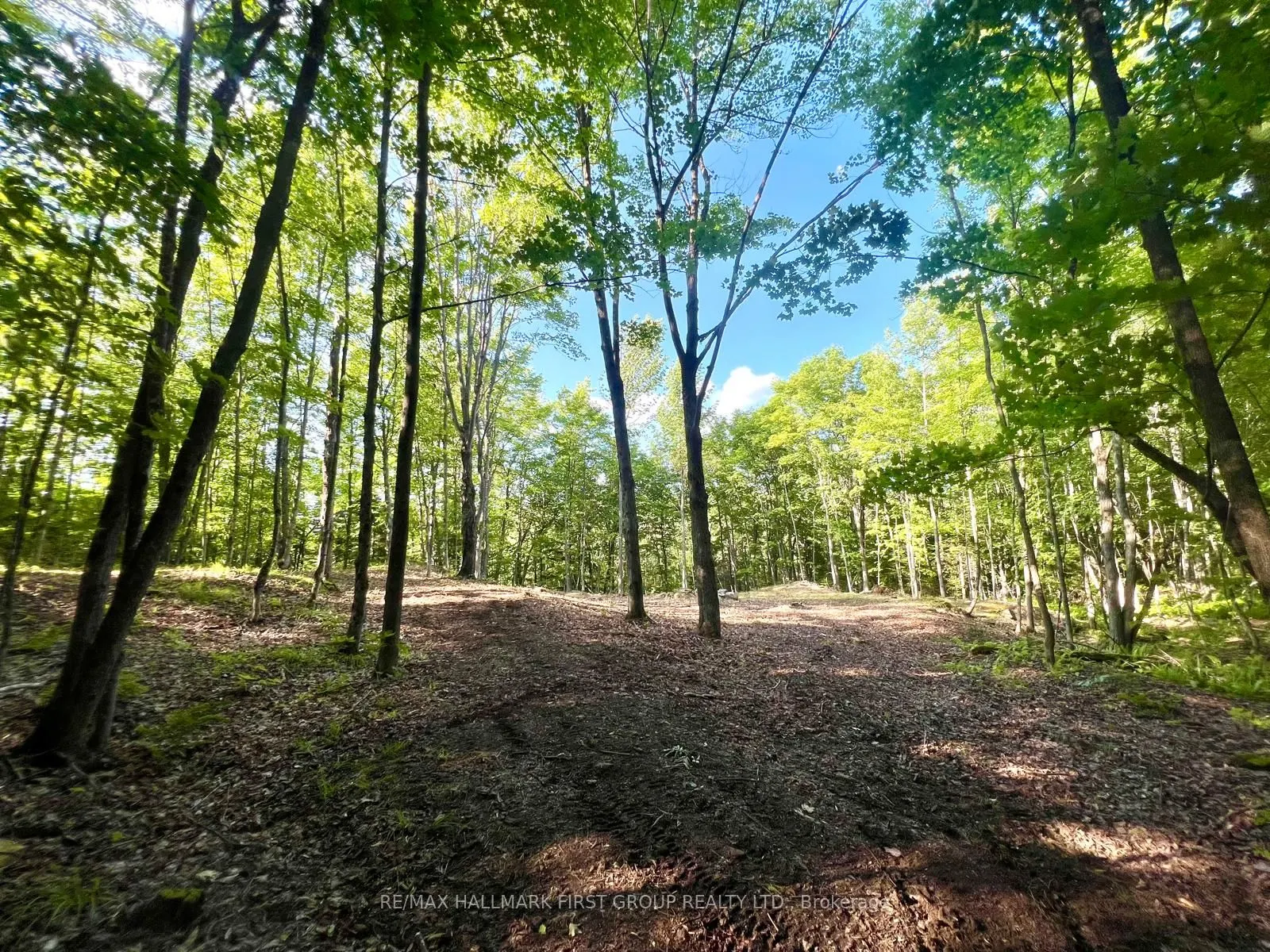 678 Centreview Road