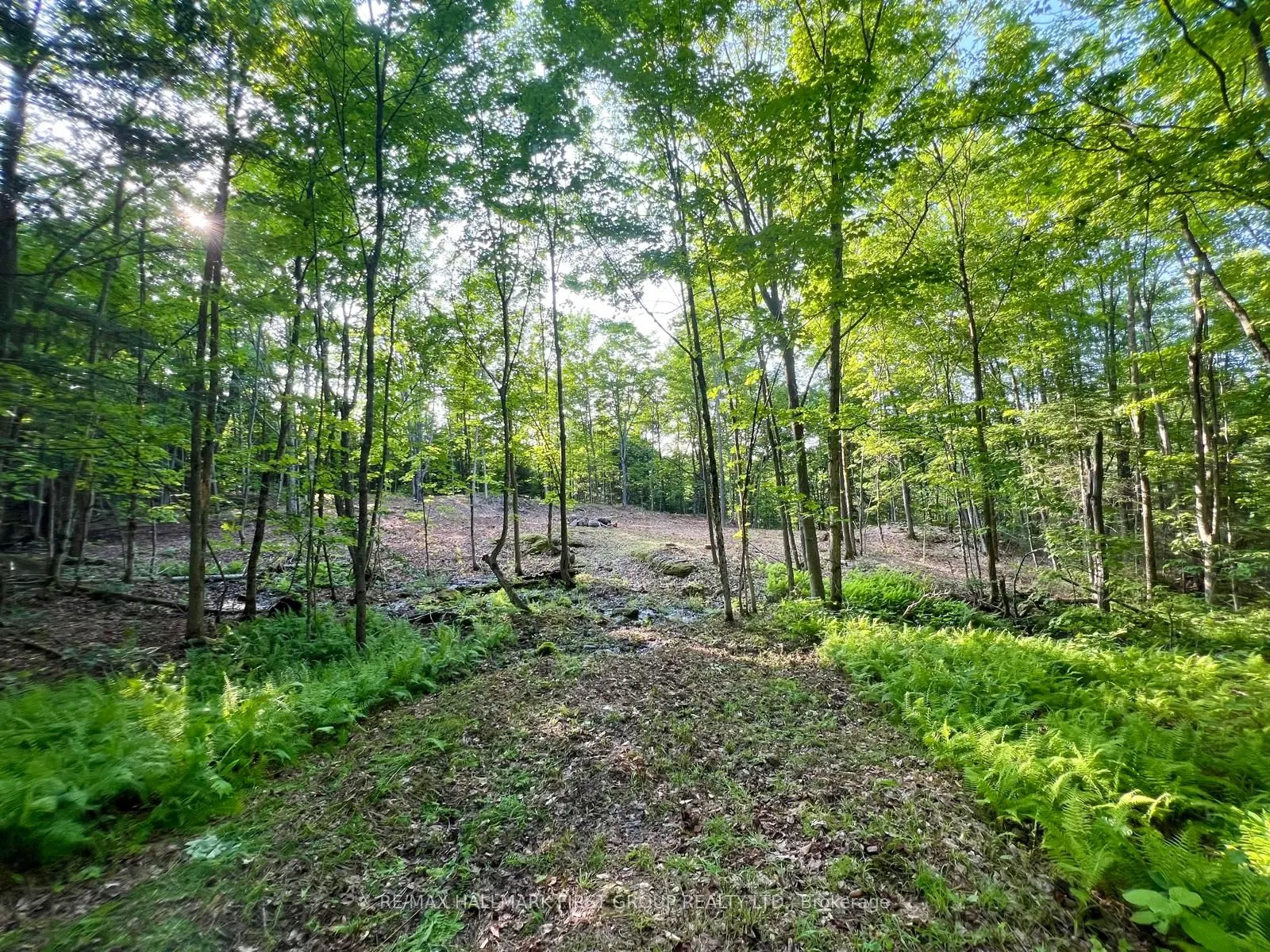 678 Centreview Road