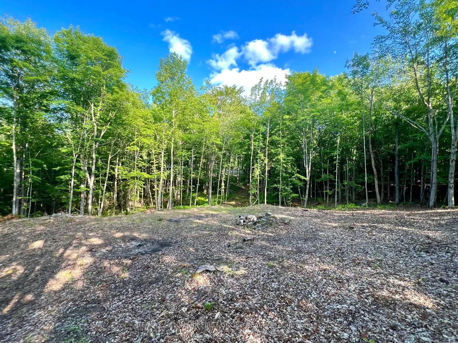 678 Centreview Road