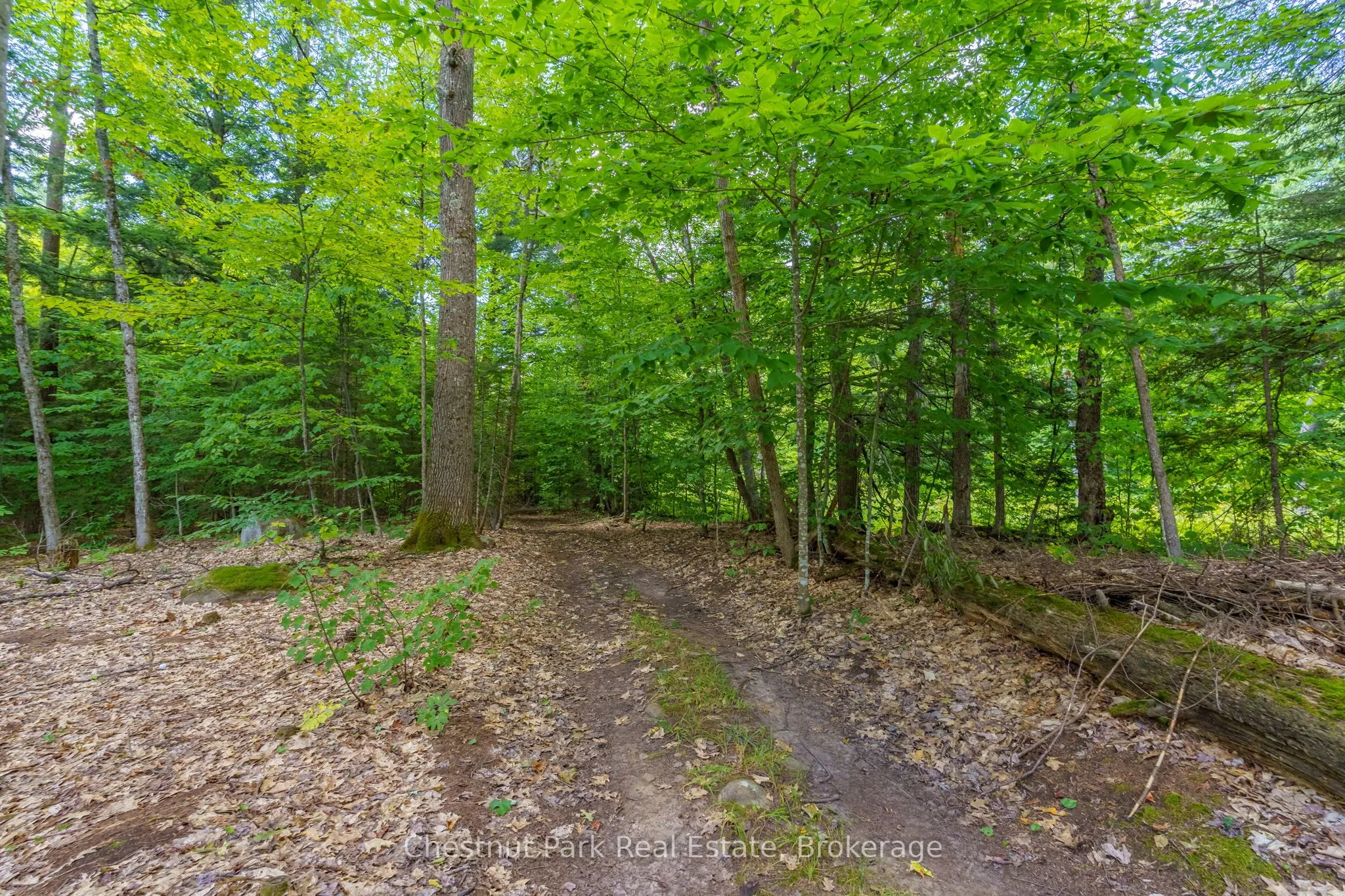 2698 Old Muskoka Road