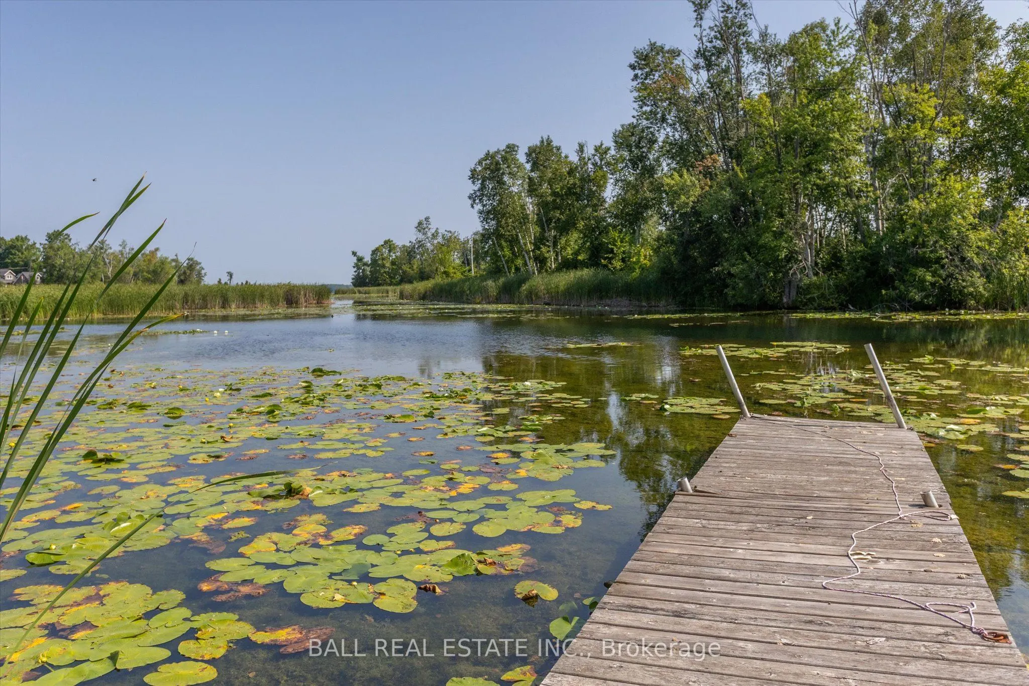 1288 Young's Cove Road