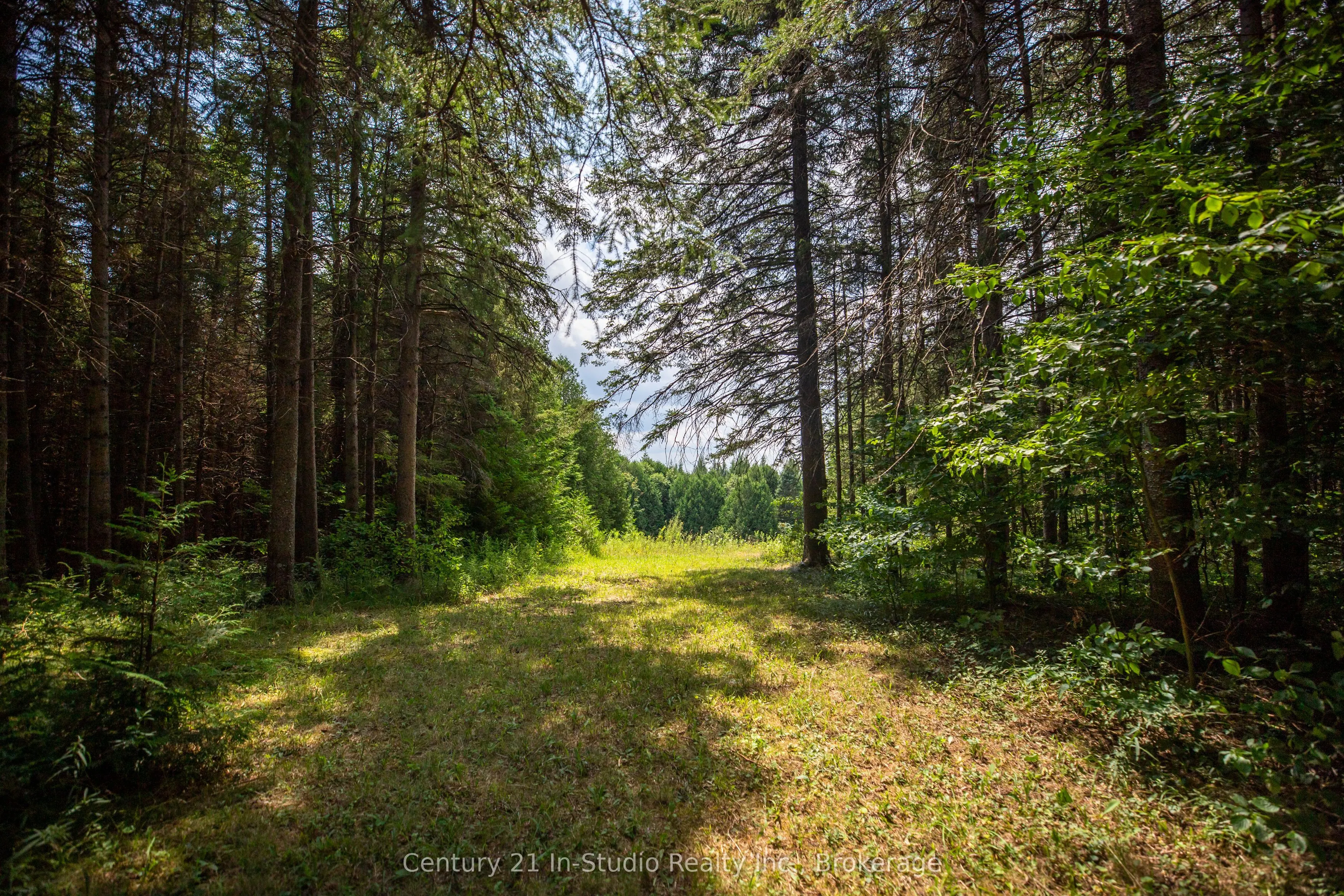 264701 Southgate Road 26