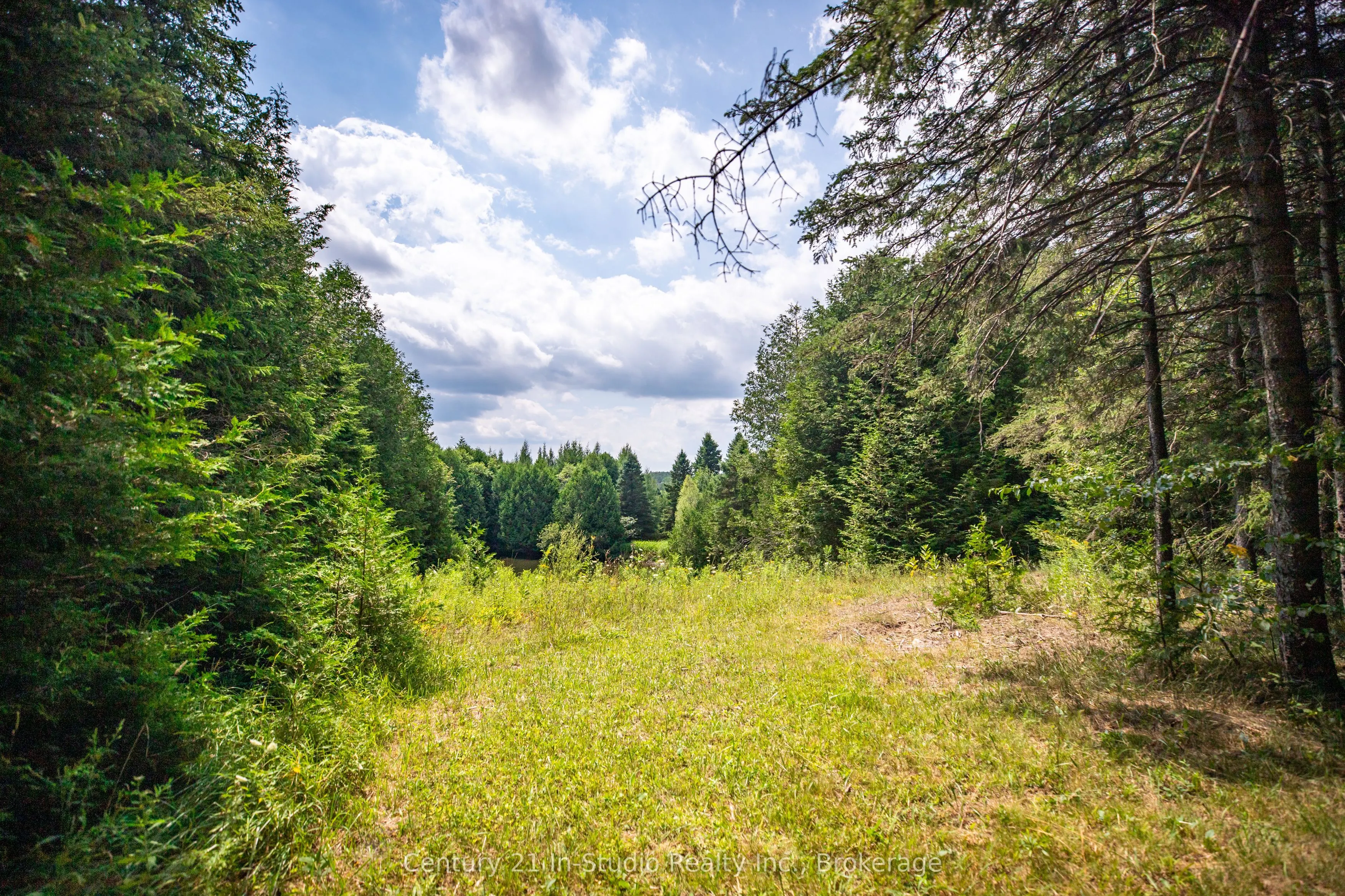 264701 Southgate Road 26