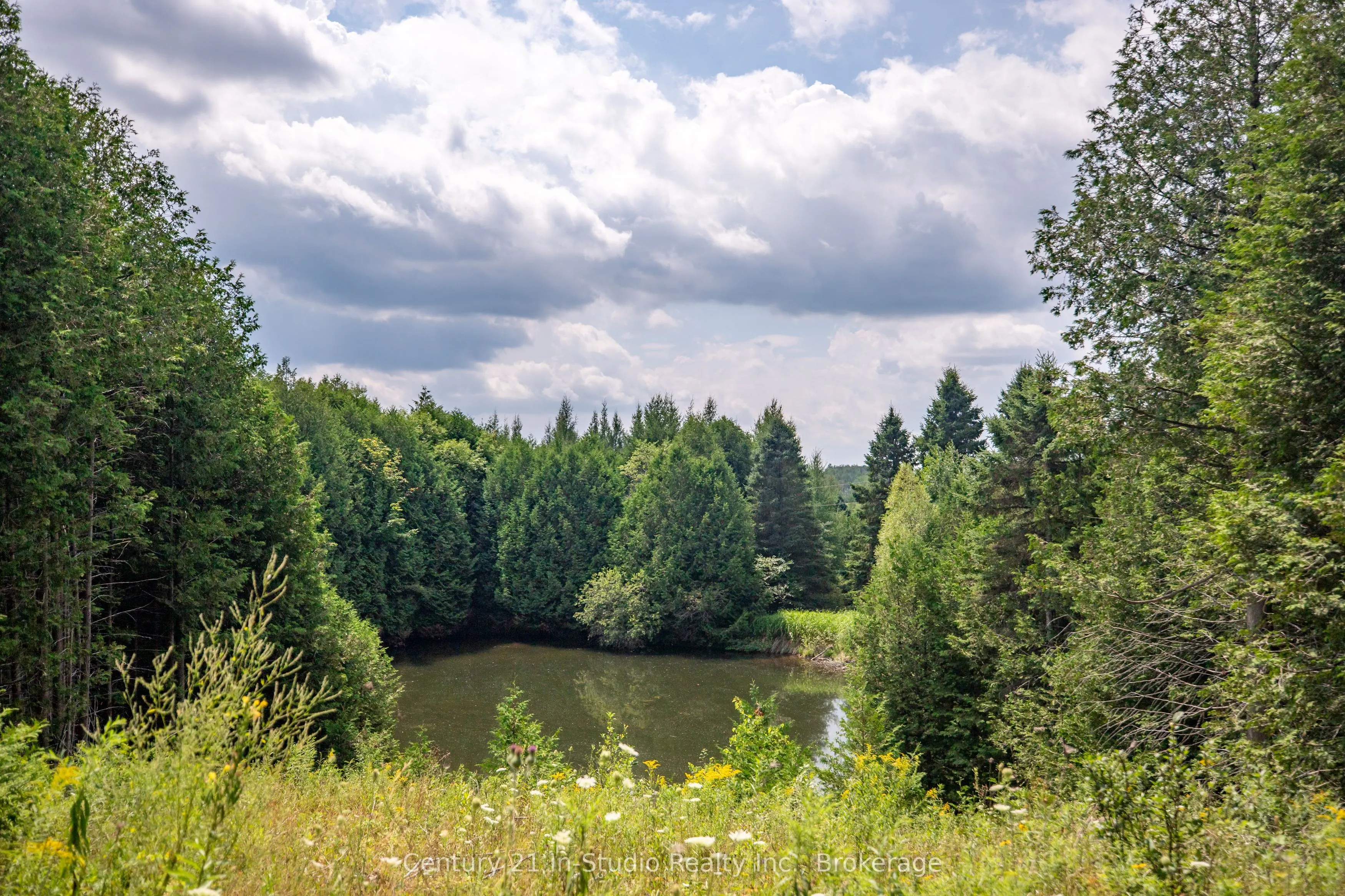 264701 Southgate Road 26