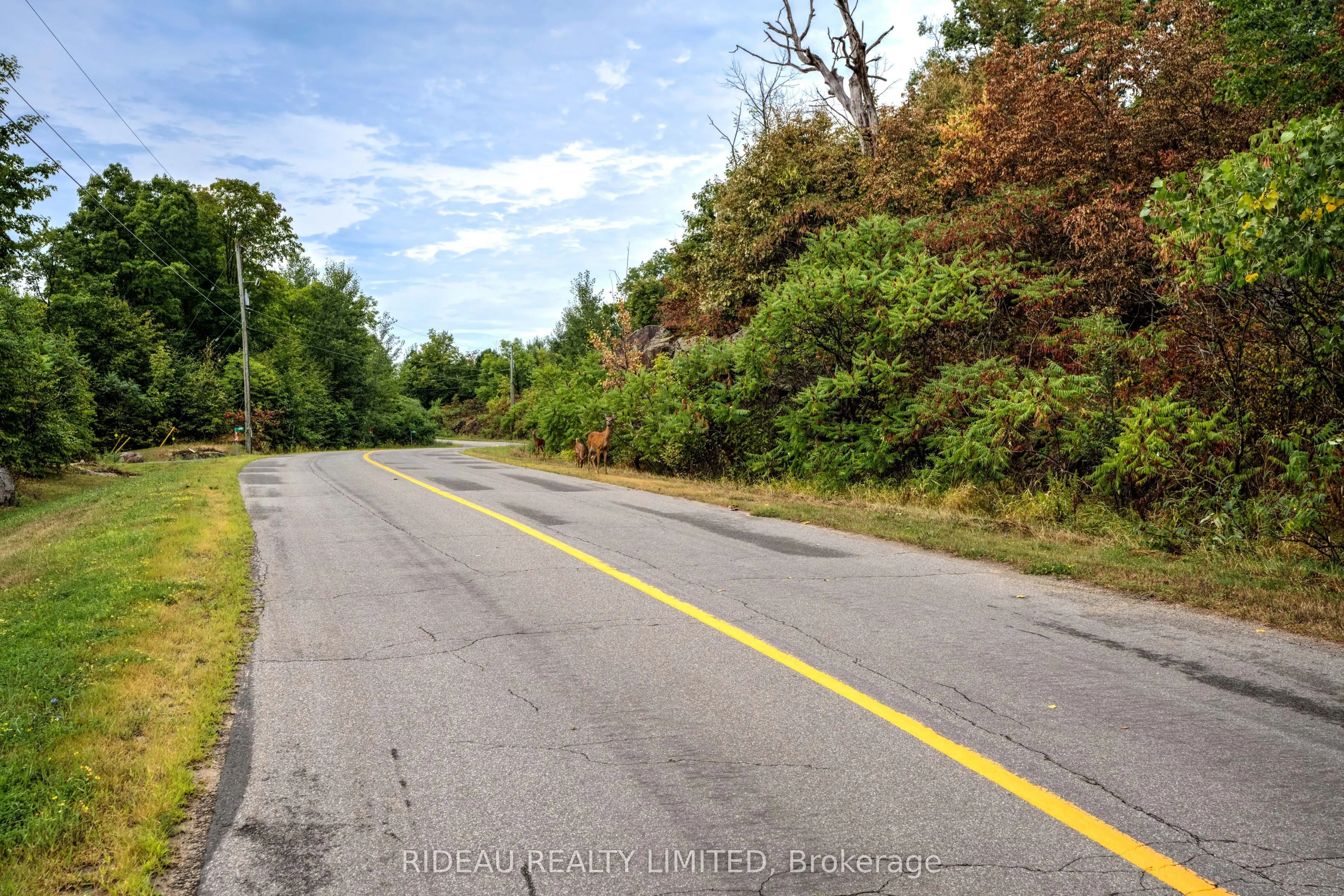 534 Oak Bluffs Road