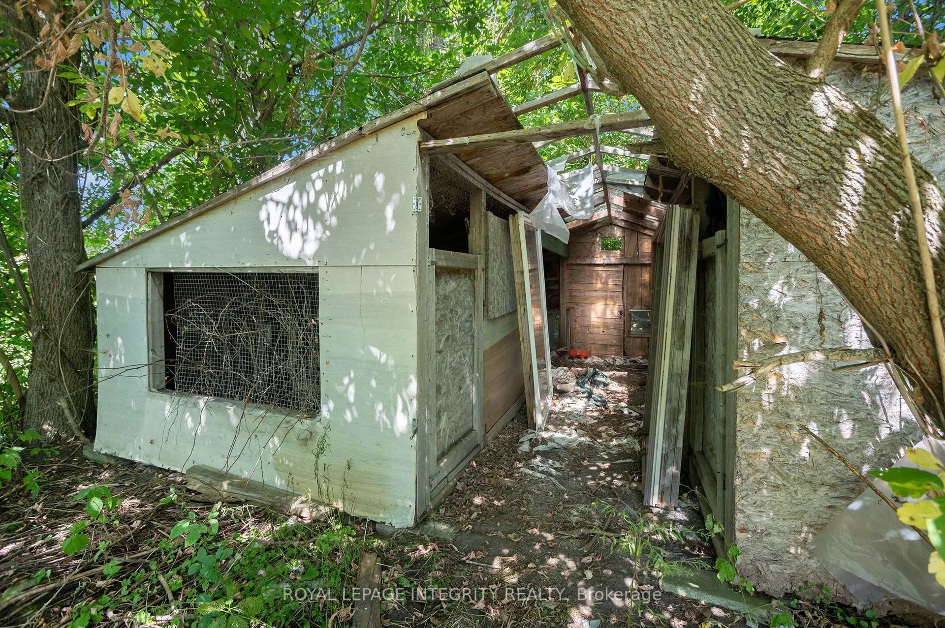 3796 County 12 Road