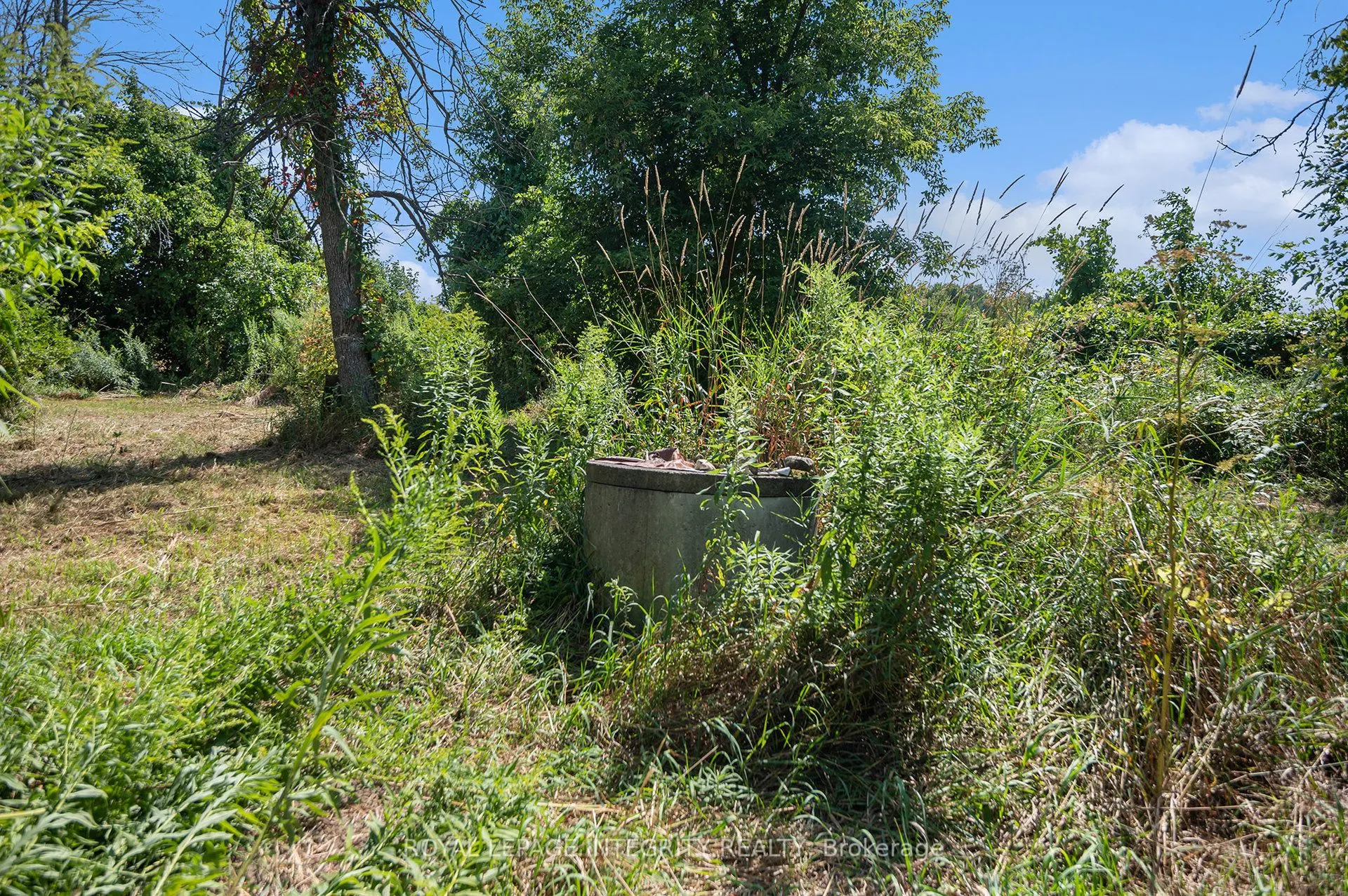 3796 County 12 Road