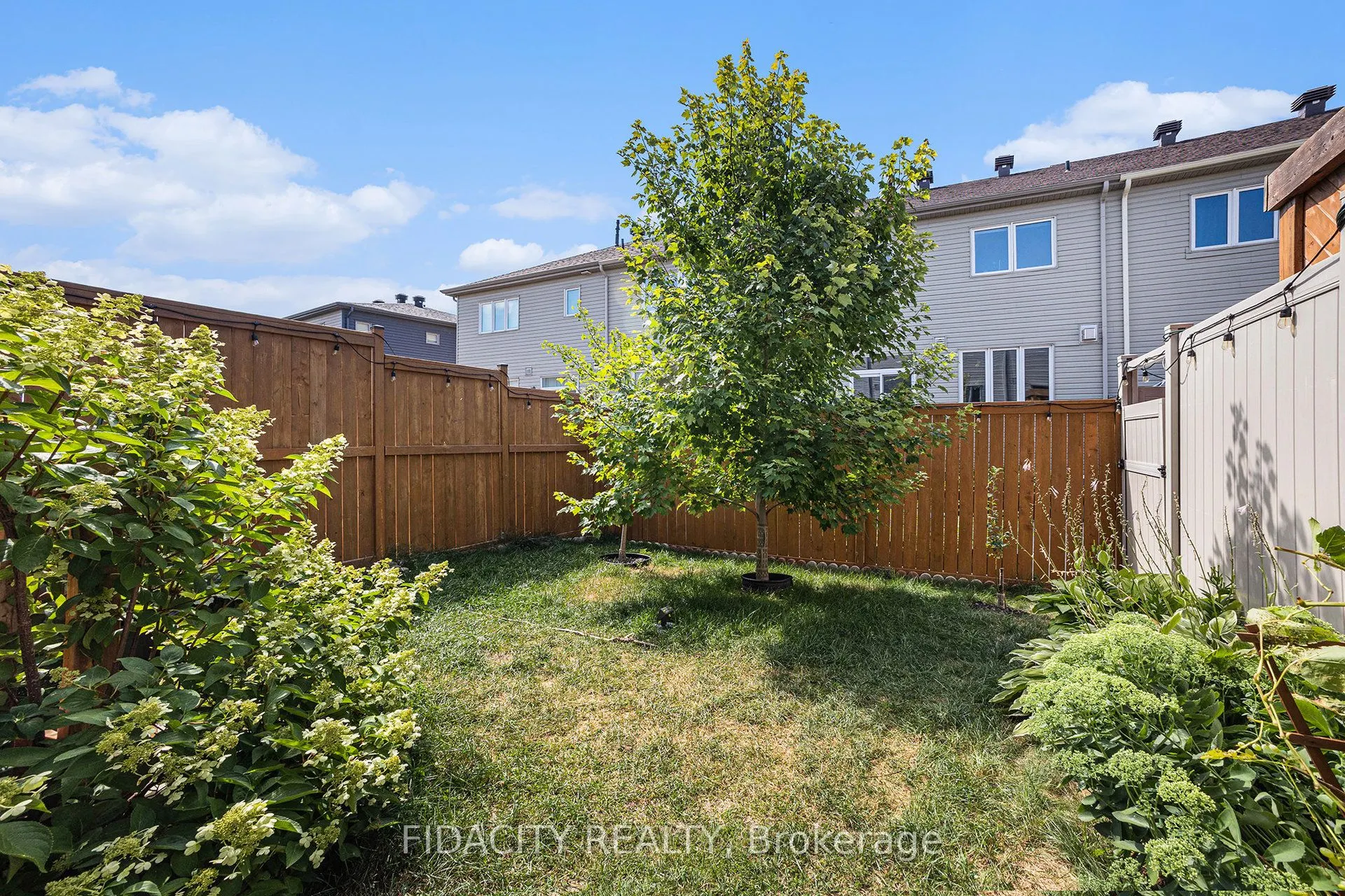 241 Bandelier Way