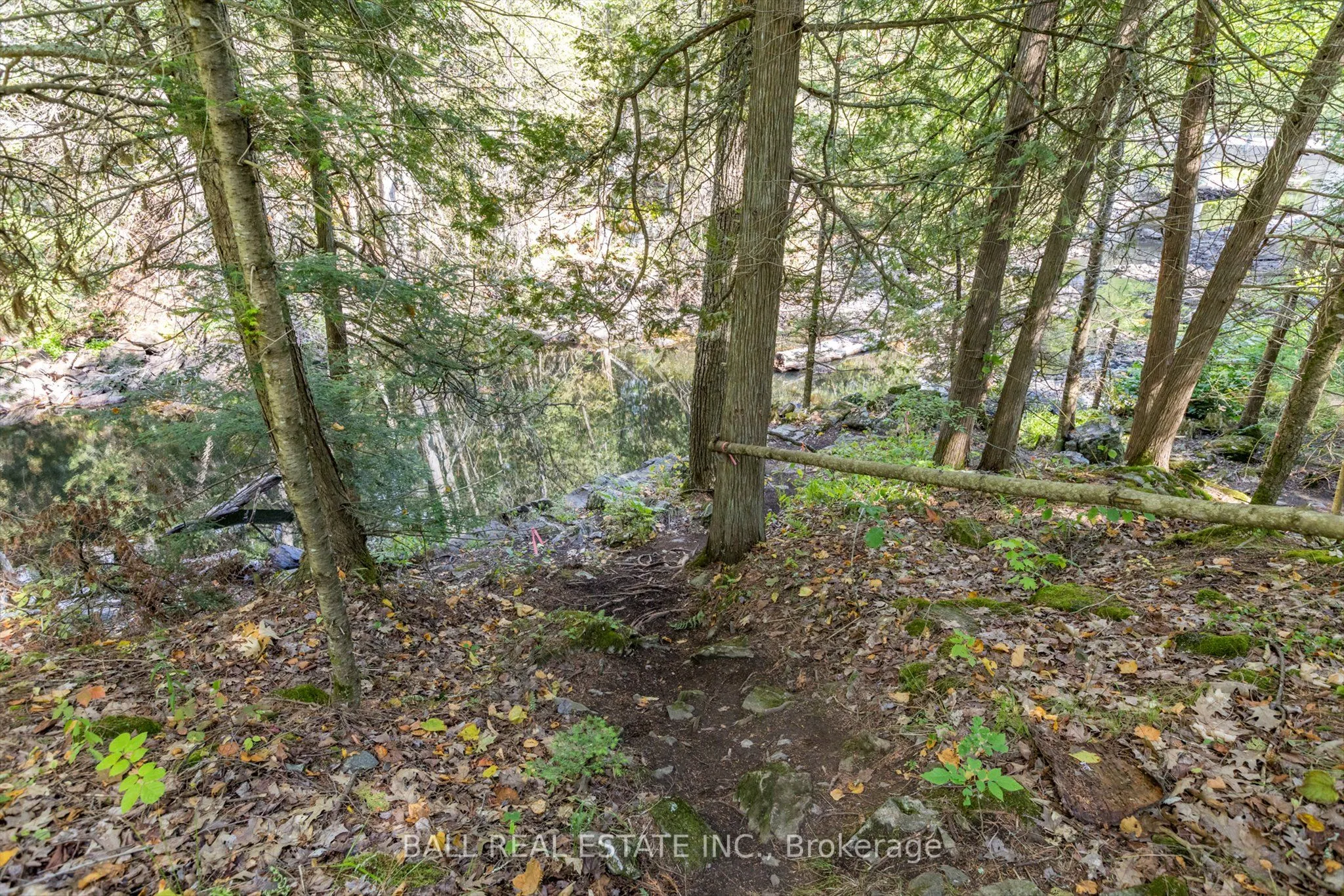 2476 County Rd 46