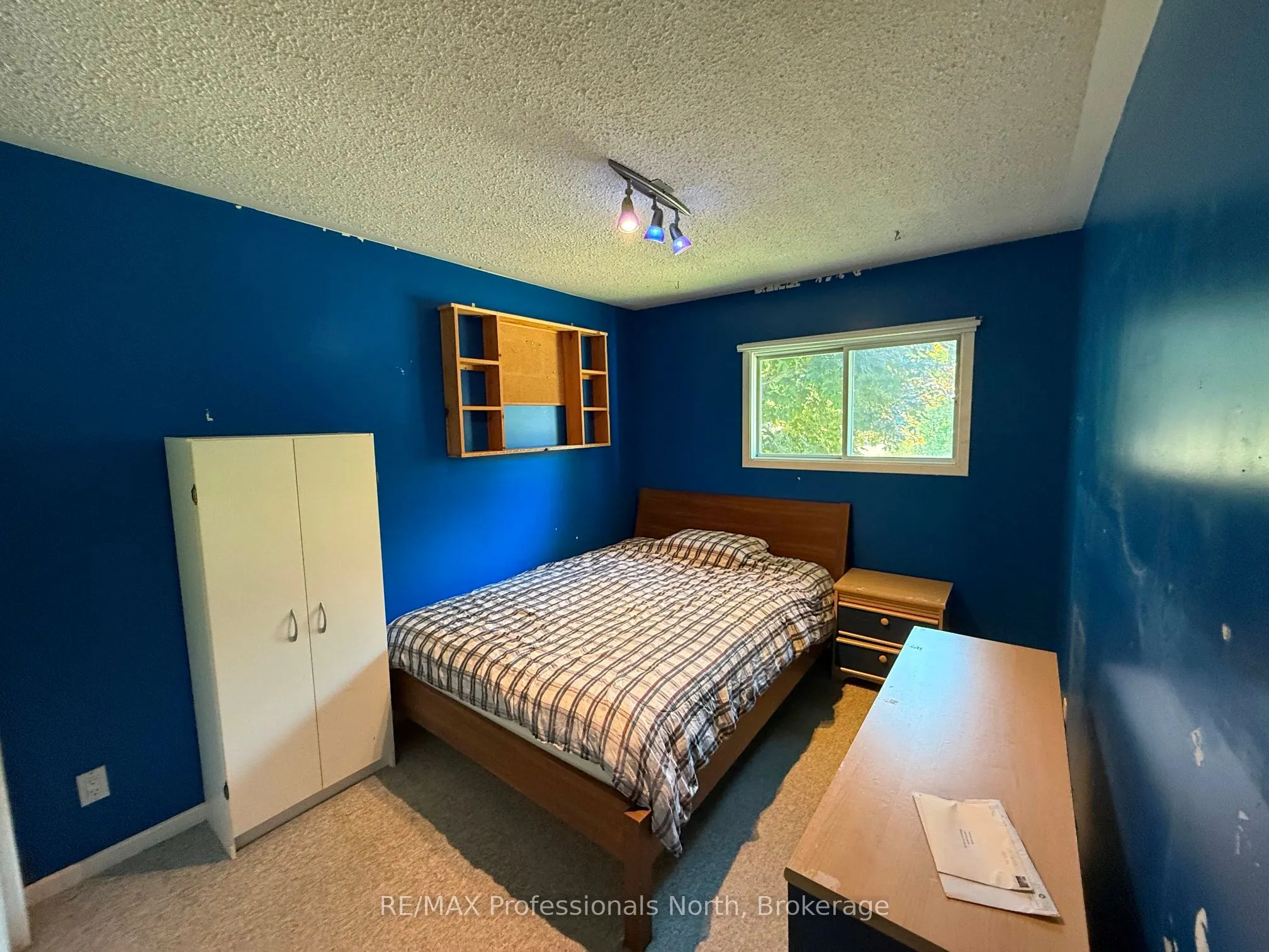 1148 Dark Lake Rd, Wilberforce, ON Road