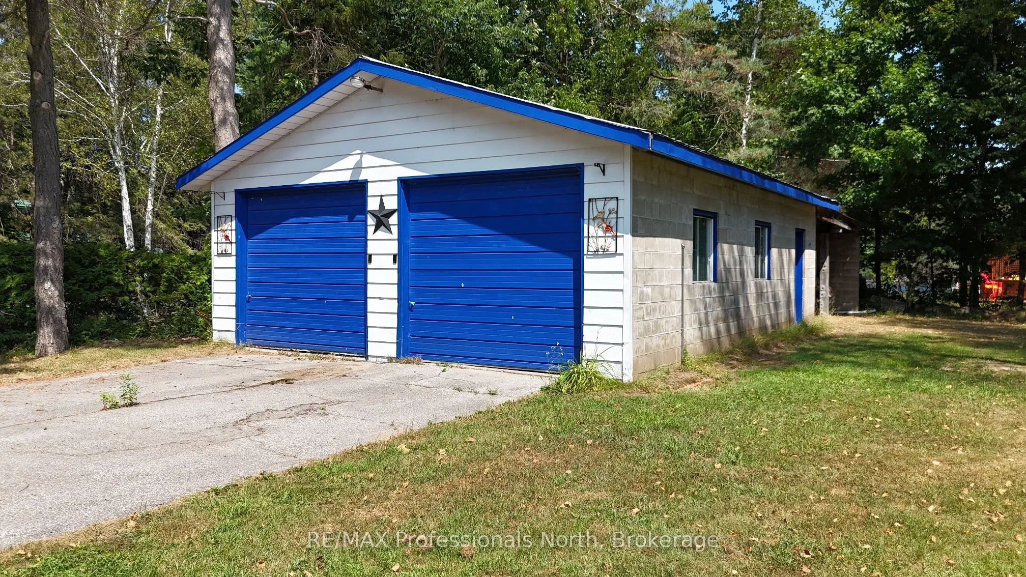 1148 Dark Lake Rd, Wilberforce, ON Road