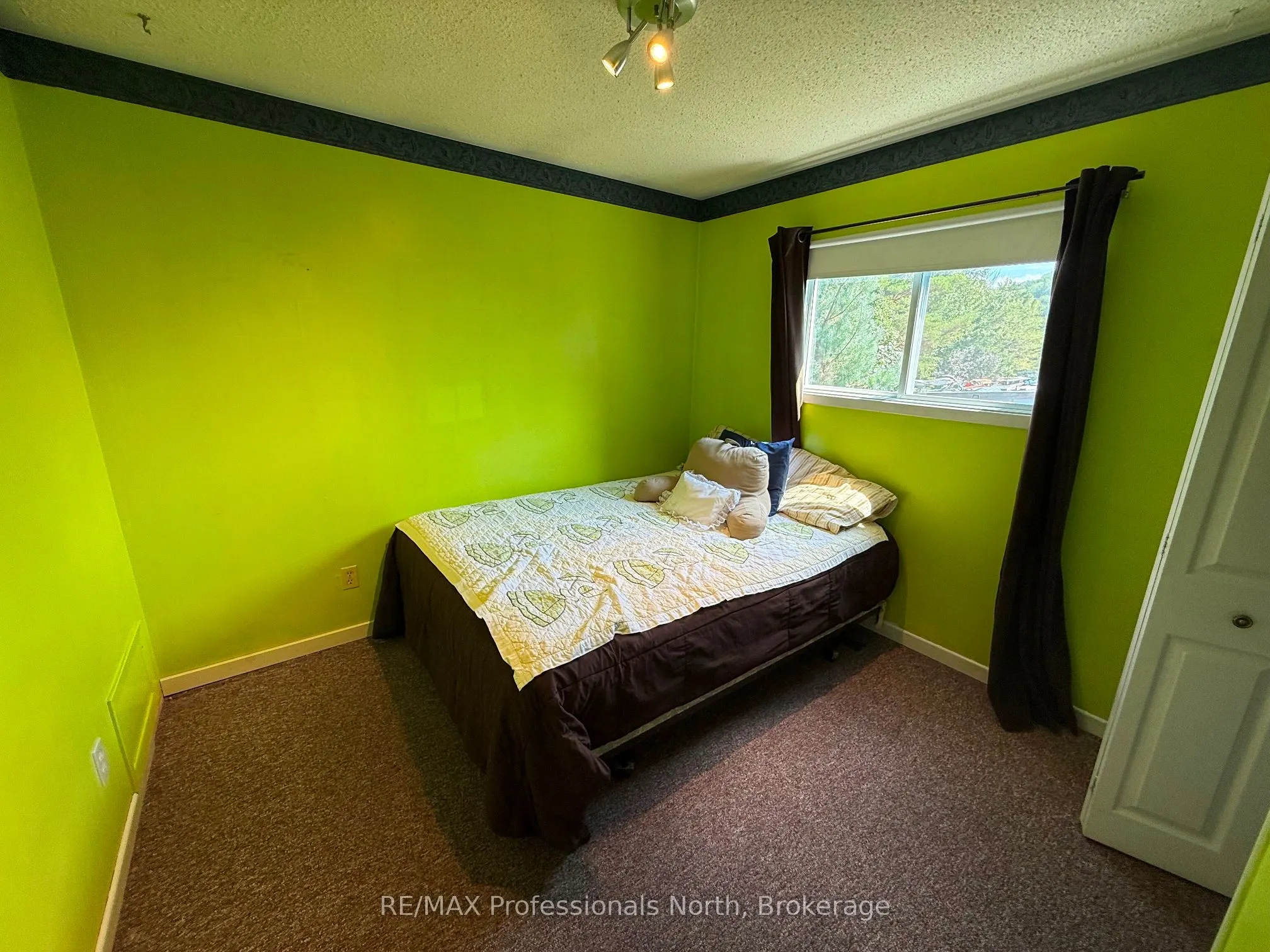 1148 Dark Lake Rd, Wilberforce, ON Road