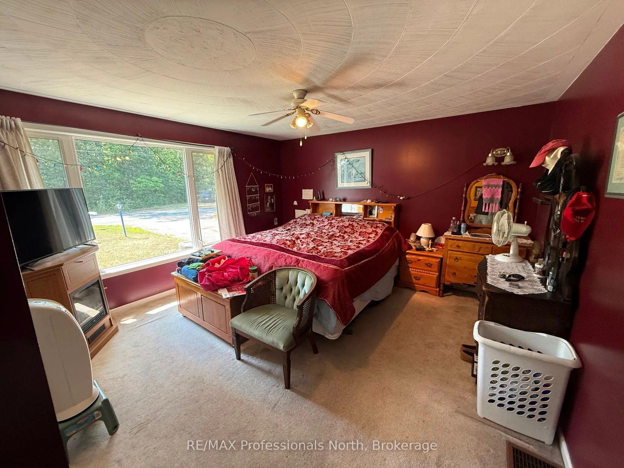 1148 Dark Lake Rd, Wilberforce, ON Road