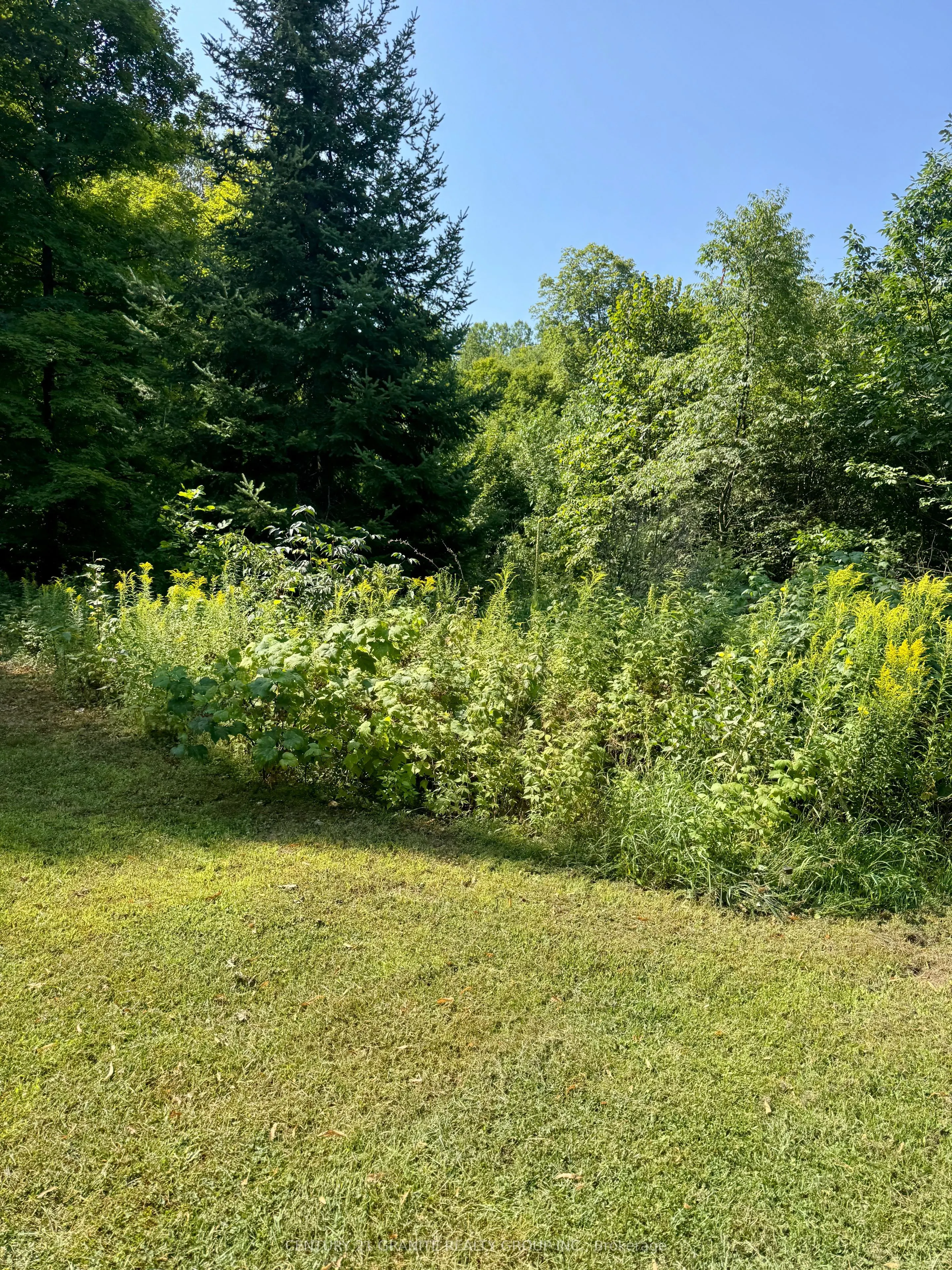 261A Copeland Lake Road