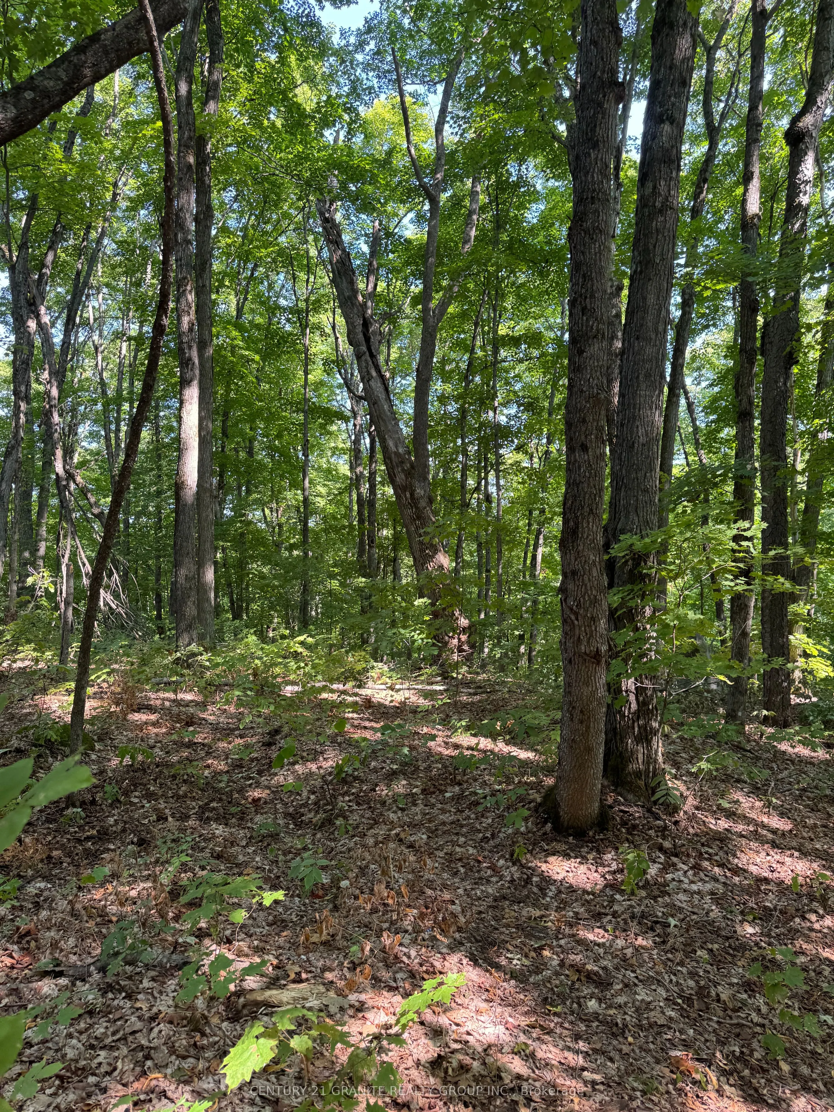 261A Copeland Lake Road