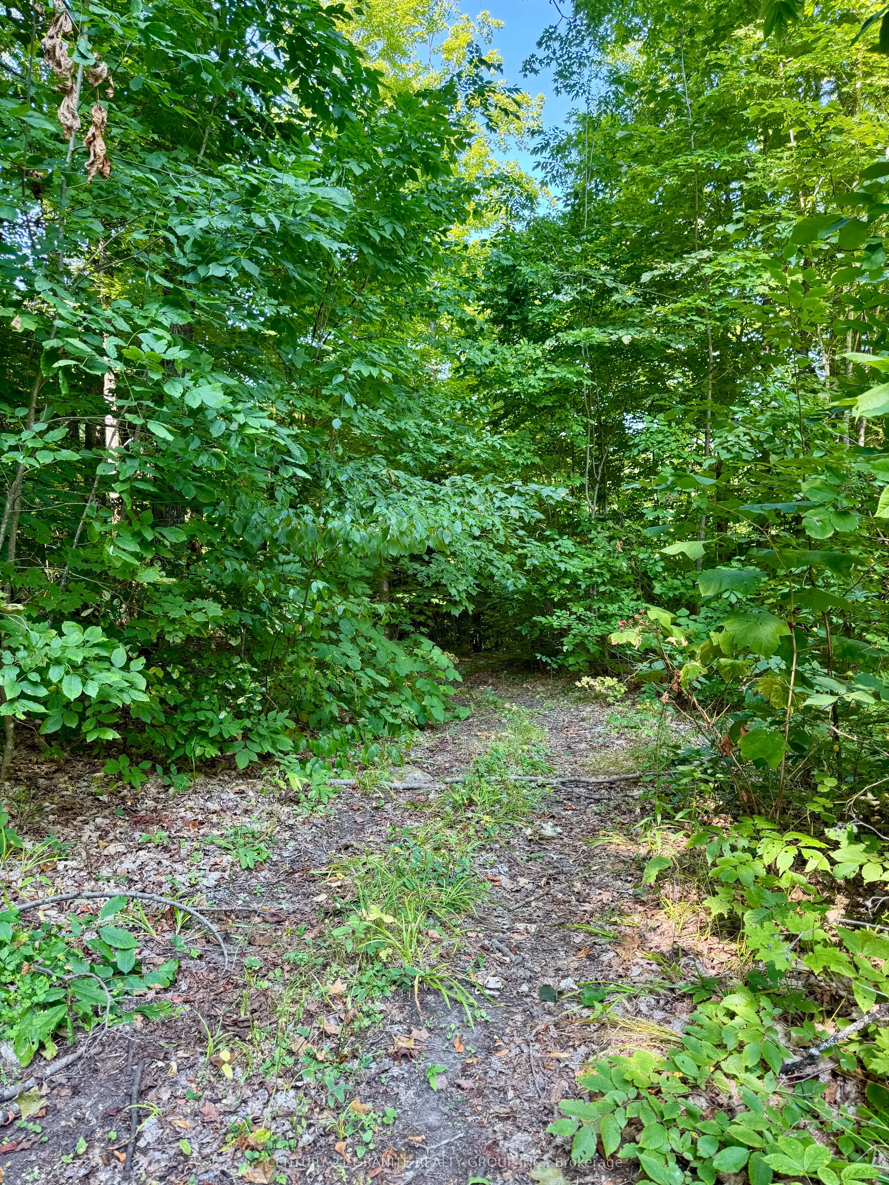 261A Copeland Lake Road