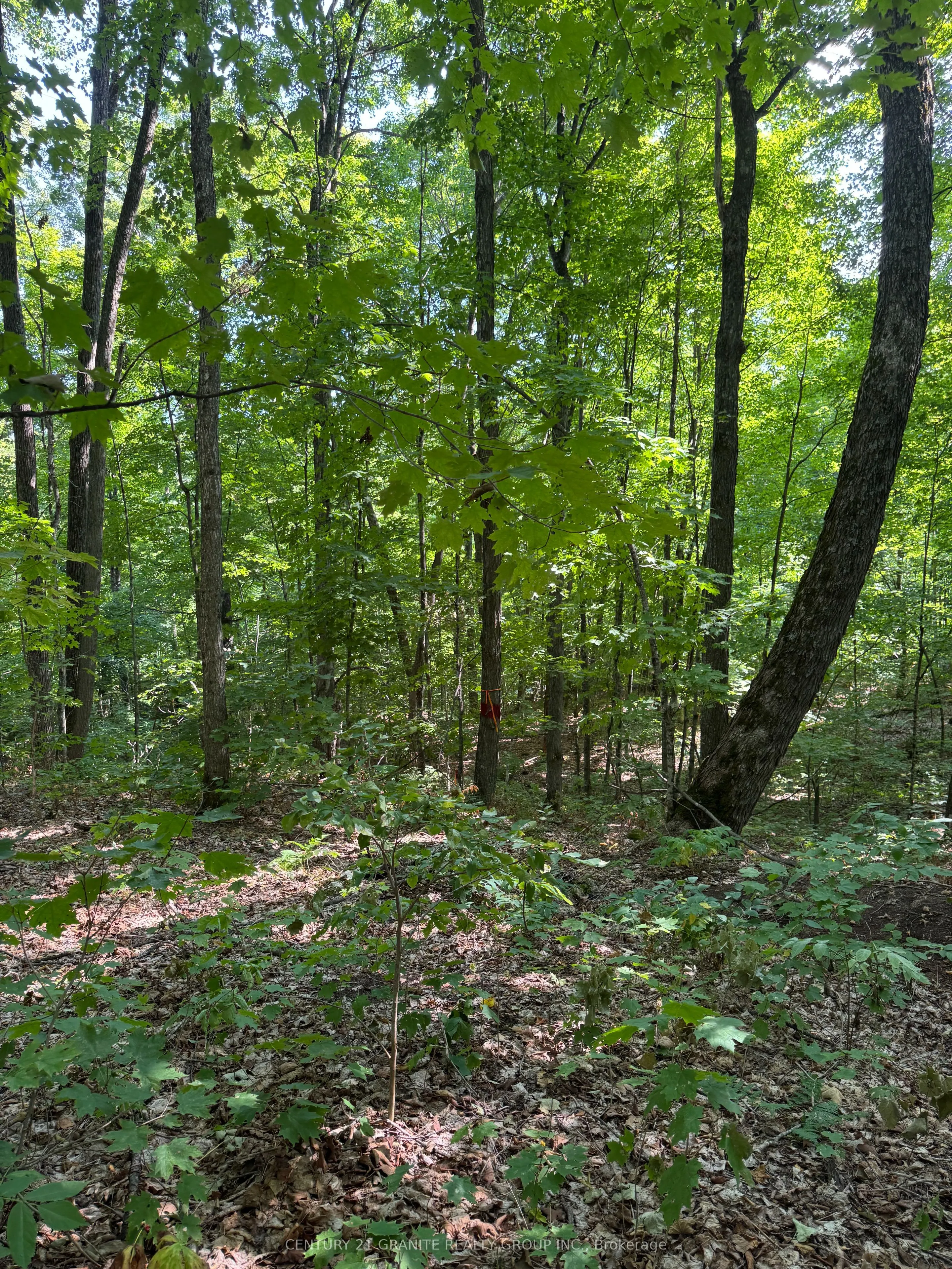 261A Copeland Lake Road