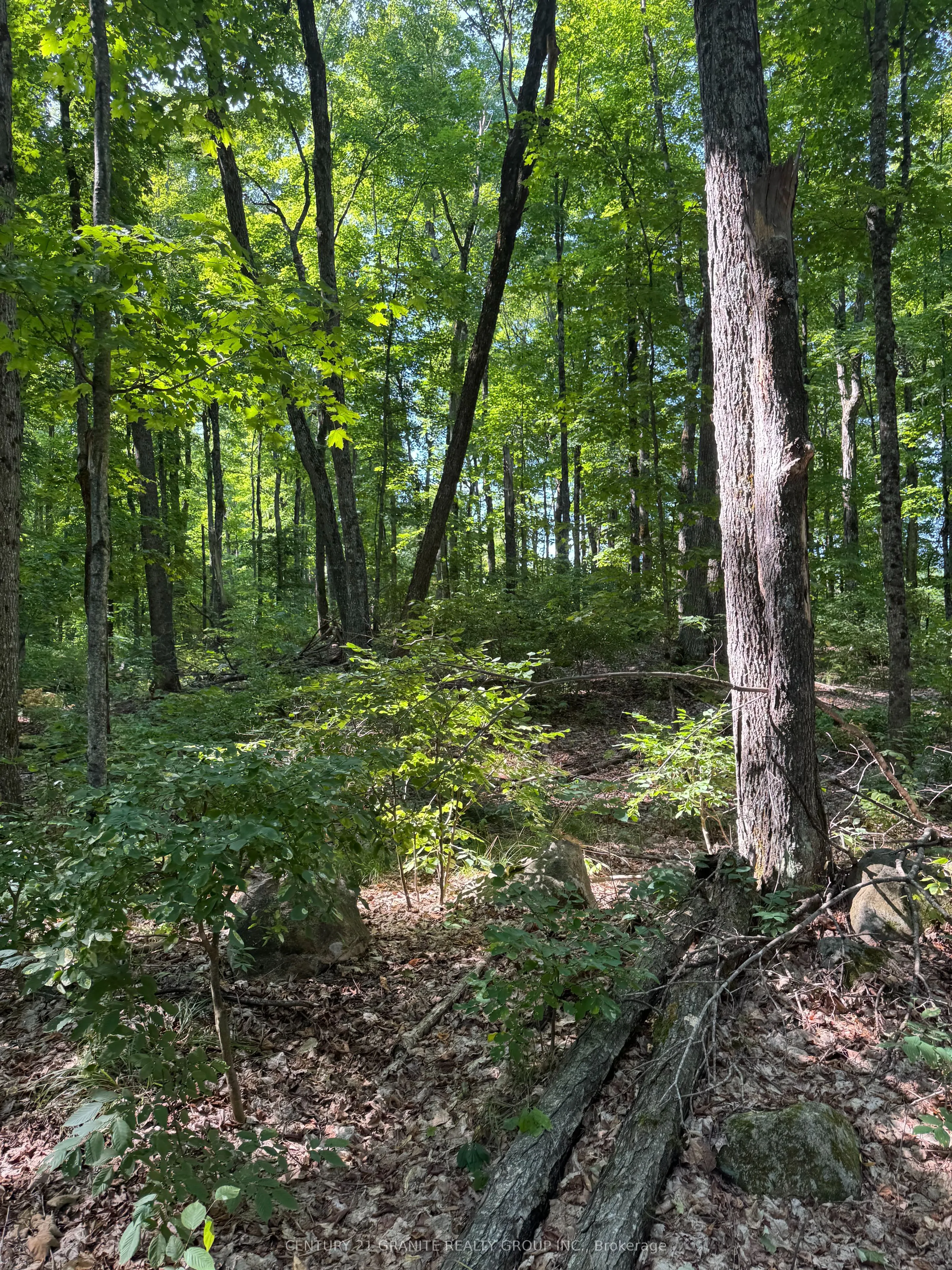 261A Copeland Lake Road