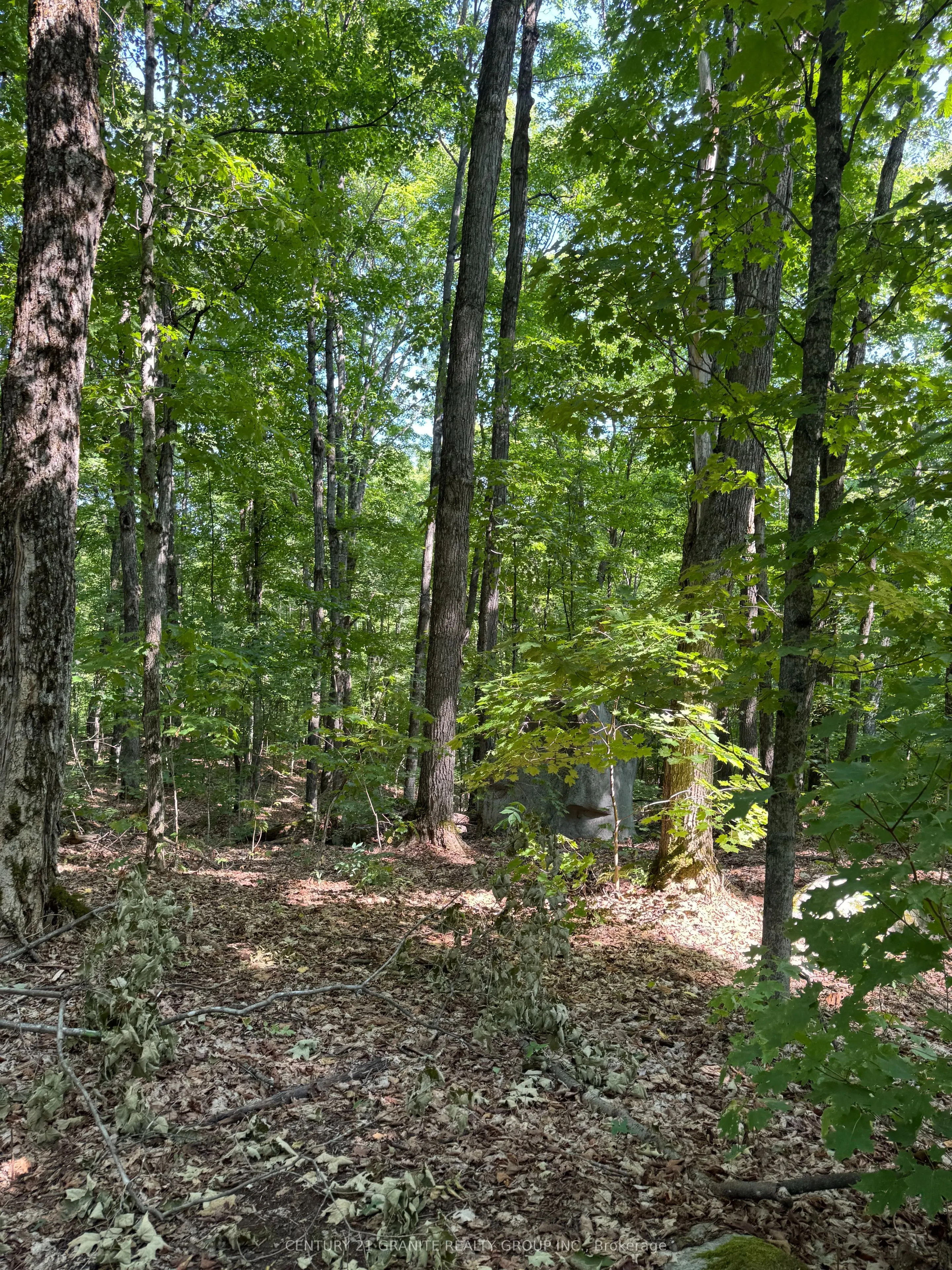 261A Copeland Lake Road