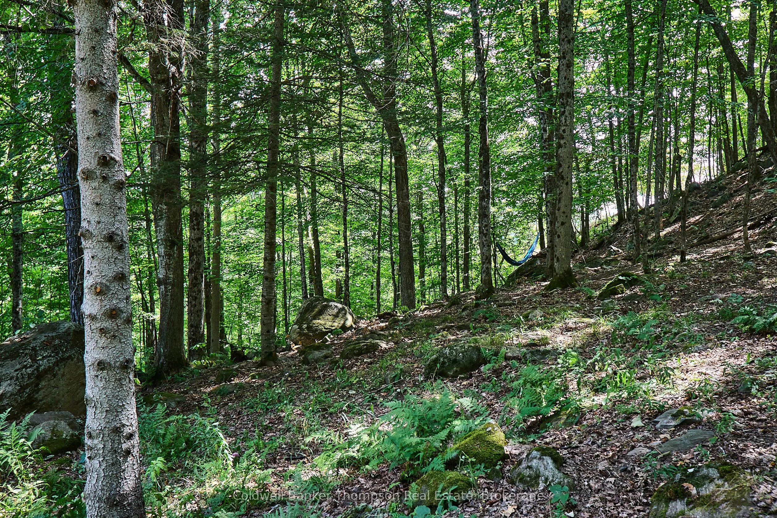 869 North Mary Lake Road