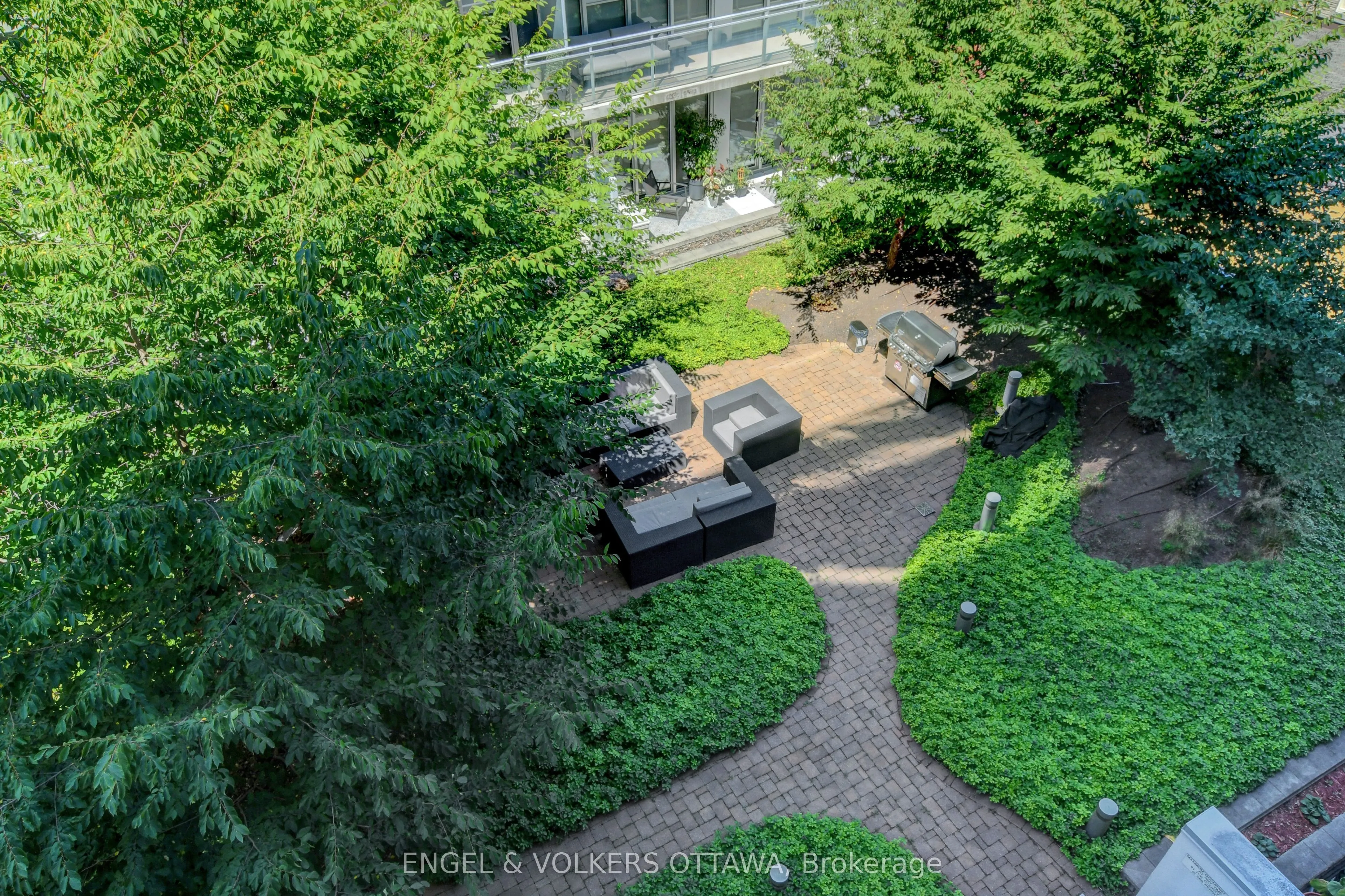 349 McLeod Street, #532