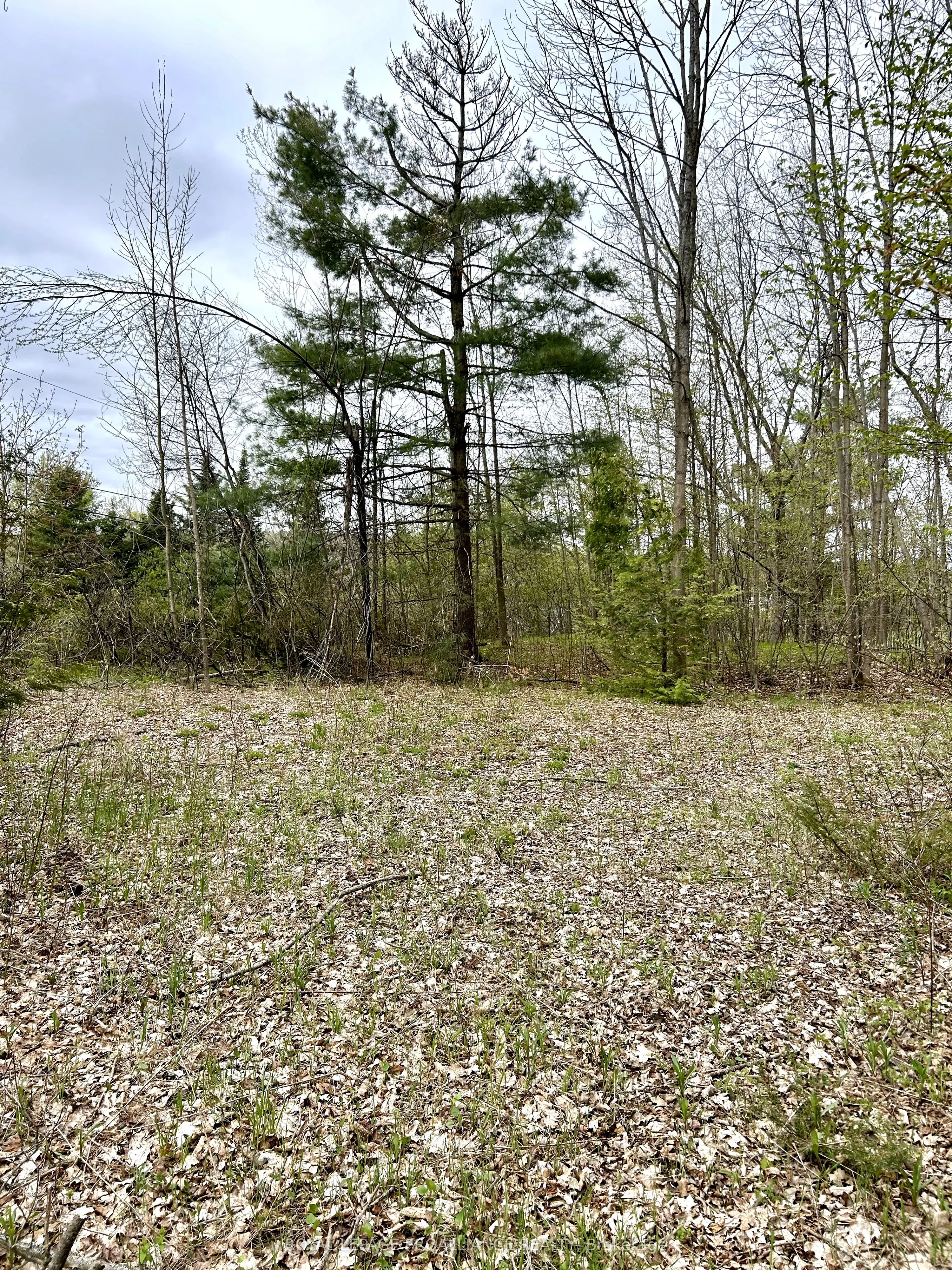 31 Glen Ridge Road