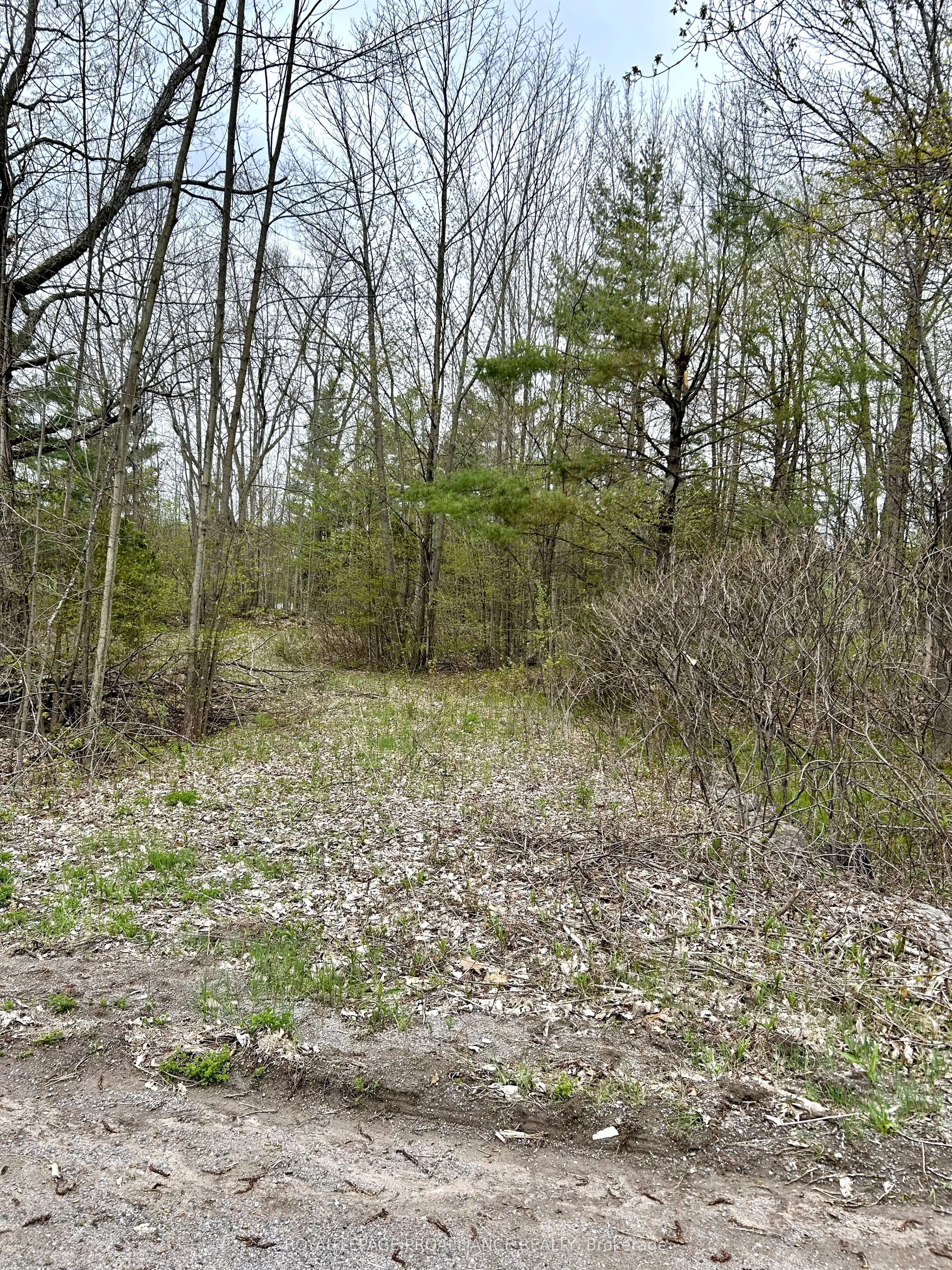 31 Glen Ridge Road