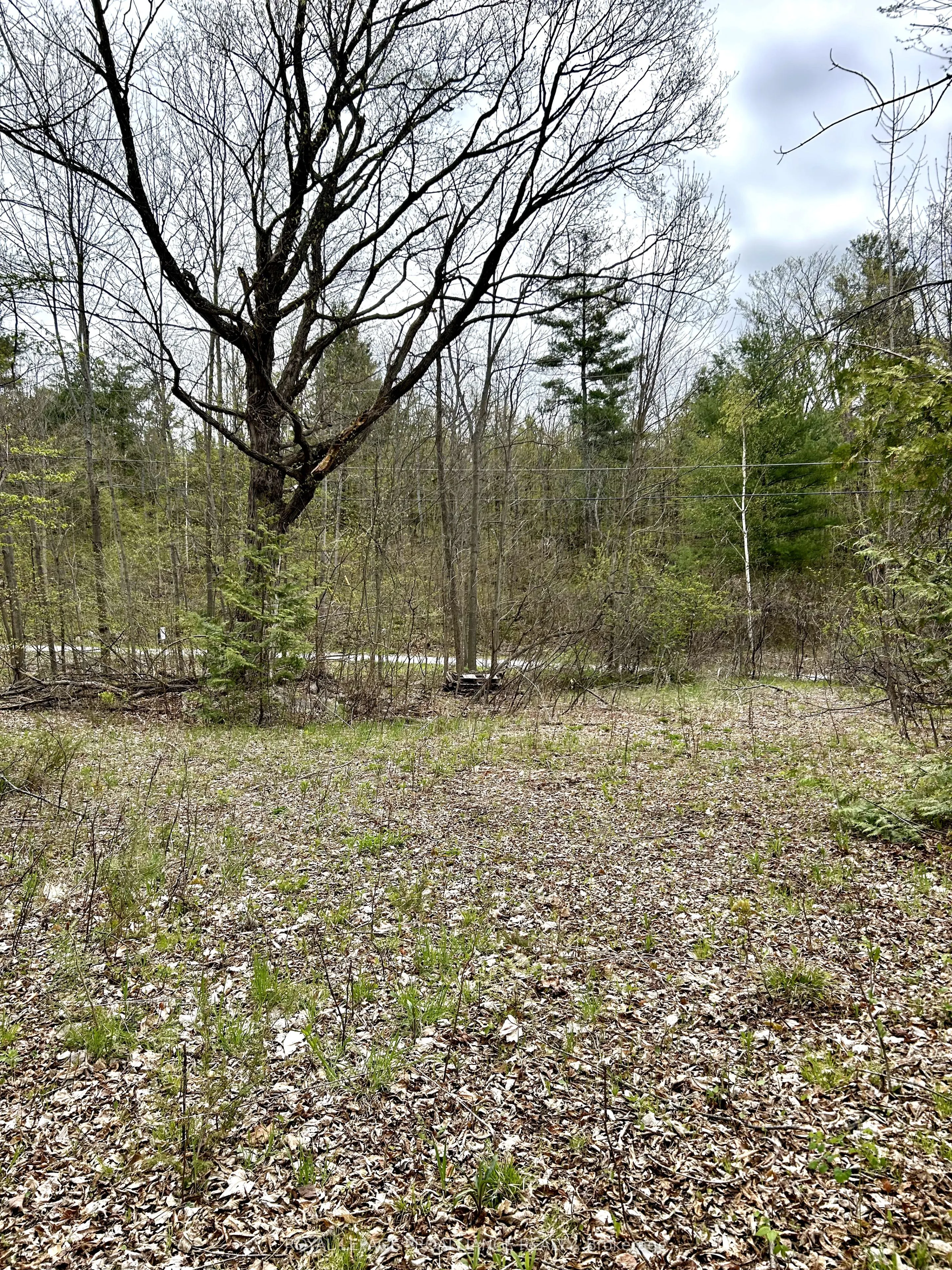 31 Glen Ridge Road