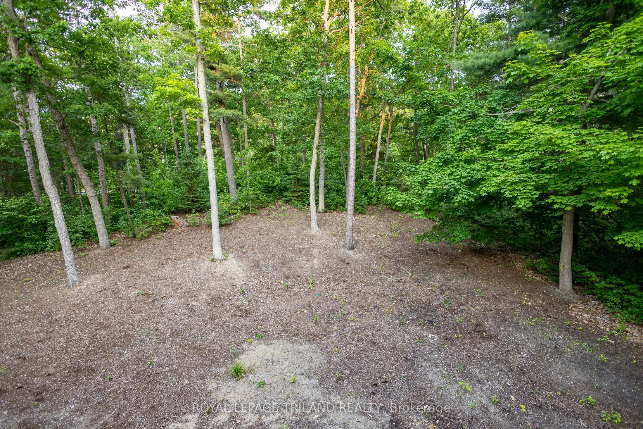 10124 SANDALWOOD Crescent