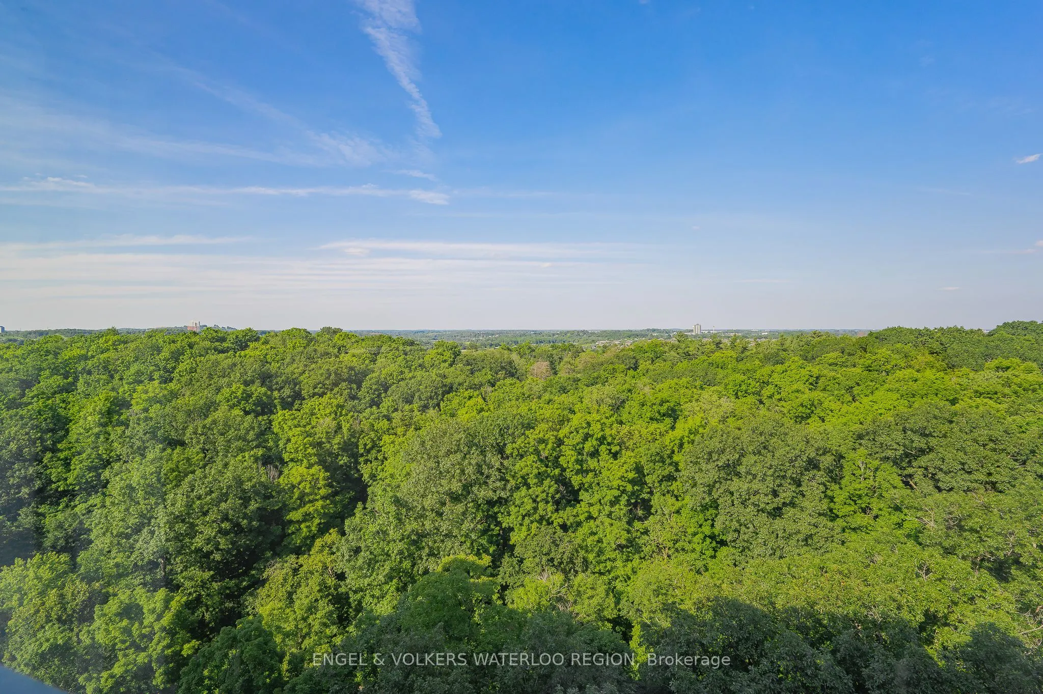 55 Green Valley Drive, #1701