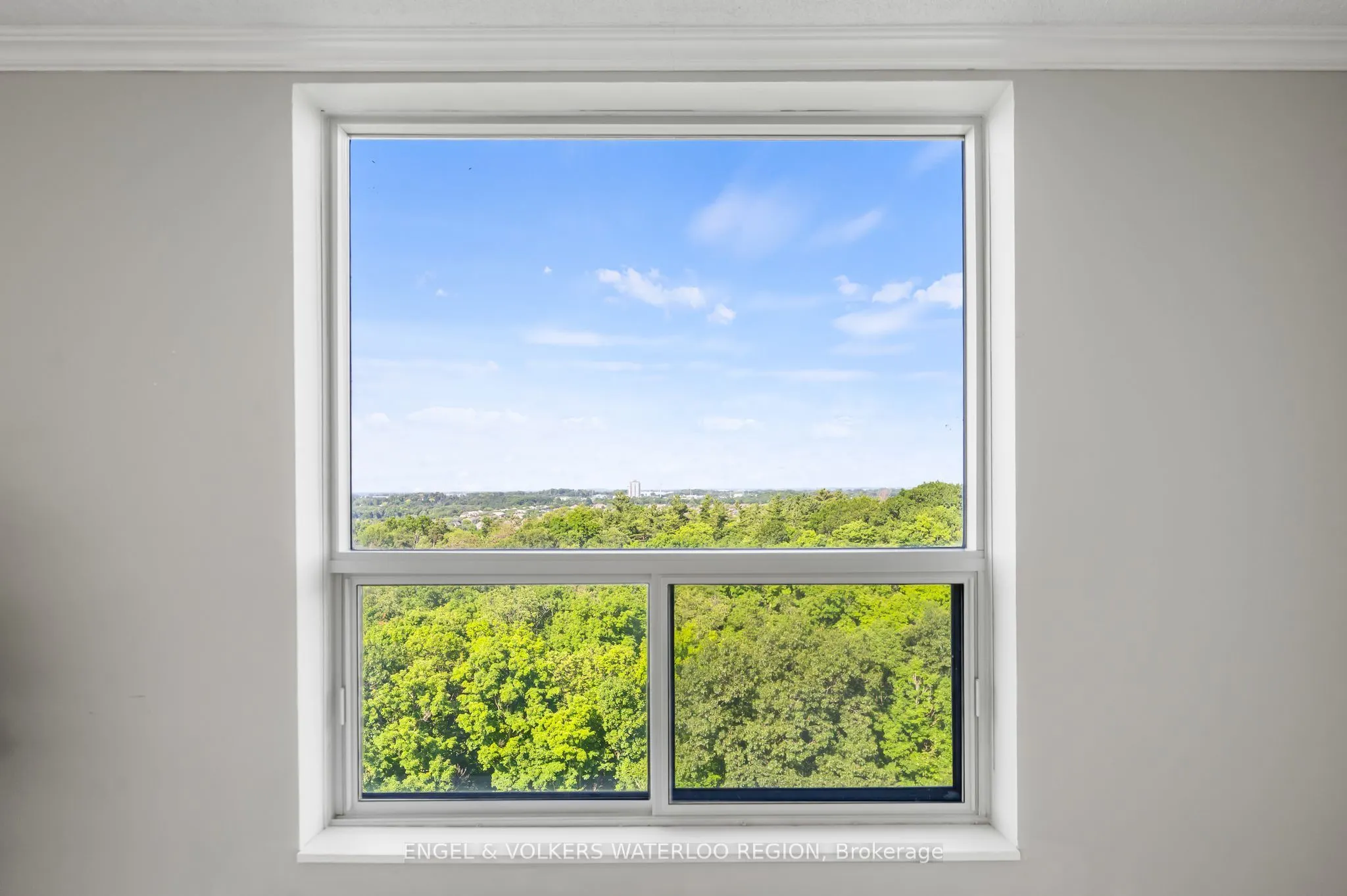55 Green Valley Drive, #1701