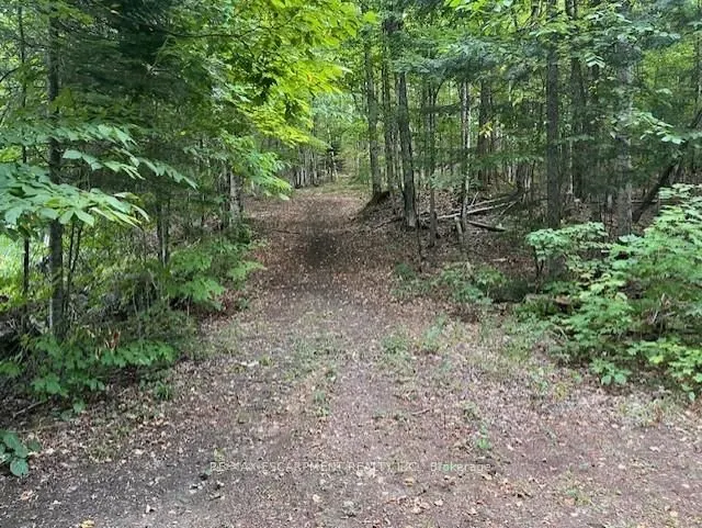 17182 Highway 118